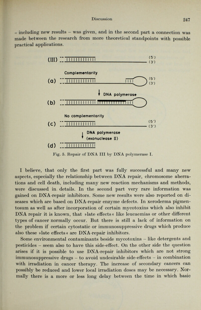 - including new results - was given, and in the second part a connection was made between the research from more theoretical standpoints with possible practical applications. (Ill) I I I I I I I 1 I I I M Complementarity No complementarity (c) 11111111 iTmi [3 I DNA polymerase * (exonuclease II) (d) 11111111 iTTTT Fig. 5. Repair of DNA III by DNA polymerase I. I believe, that only the first part was fully successful and many new aspects, especially the relationship between DNA repair, chromosome aberra tions and cell death, including many new reaction mechanisms and methods, were discussed in. details. In the second part very rare information was gained on DNA-repair inhibitors. Some new results were also reported on di seases which are based on DNA-repair enzyme defects. In xeroderma pigmen tosum as well as after incorporation of certain mycotoxins which also inhibit DNA repair it is known, that »late effects« like leucaemias or other different types of cancer normally occur. But there is still a lack of information on the problem if certain cytostatic or immunosuppressive drugs which produce also these »late effects« are DNA-repair inhibitors. Some environmental contaminants beside mycotoxins - like detergents and pesticides - seem also to have this side-effect. On the other side the question arises if it is possible to use DNA-repair inhibitors which are not strong immunosuppressive drugs - to avoid undesirable side-effects - in combination with irradiation in cancer therapy. The increase of secondary cancers can possibly be reduced and lower local irradiation doses may be necessary. Nor mally there is a more or less long delay between the time in which basic