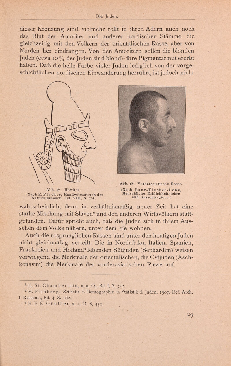 Die Juden. dieser Kreuzung sind, vielmehr rollt in ihren Adern auch noch das Blut der Amoriter und anderer nordischer Stämme, die gleichzeitig mit den Völkern der orientalischen Rasse, aber von Norden her eindrangen. Von den Amoritern sollen die blonden Juden (etwa io% der Juden sind blond)i ihre Pigmentarmut ererbt haben. Daß die helle Farbe vieler Juden lediglich von der vorge¬ schichtlichen nordischen Einwanderung herrührt, ist jedoch nicht wahrscheinlich, denn in verhältnismäßig neuer Zeit hat eine starke Mischung mit Slaven^ und den anderen Wirtsvölkern statt¬ gefunden. Dafür spricht auch, daß die Juden sich in ihrem Aus¬ sehen dem Volke nähern, unter dem sie wohnen. Auch die ursprünglichen Rassen sind unter den heutigen Juden nicht gleichmäßig verteilt. Die in Nordafrika, Italien, Spanien, Frankreich und Holland® lebenden Südjuden (Sephardim) weisen vorwiegend die Merkmale der orientalischen, die Ostjuden (Asch- kenasim) die Merkmale der vorderasiatischen Rasse auf. ^ H. St. Chamberlain, a. a. О., Bd. I, S. 372. ^М. Fishberg, Zeitsclir. f. Demographie u. Statistik d. Juden, 1907, Ref. Arch, f. Rassenb., Bd. 4, S. 102. ® H. F. K. Günther, a. a. O. S. 451. Abb. 17. Hettiter. (Nach E. F i s ch с r, Handwörterbuch der Naturwissensch. Bd. VIIX, S. lOl. (Nach Baur-Pi s ch er-L enz, Menschliche Erblichkeitslehre und Rassenhygiene.)