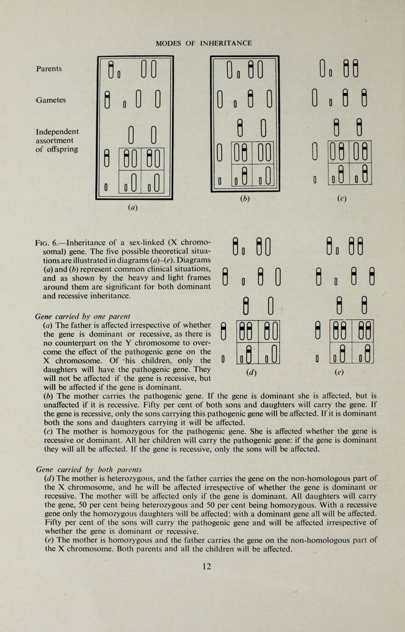 MODES OF INHERITANCE Parents Gametes Independent assortment of offspring Oo 00 0 0 0 0 0 0 0 (o) Ф) (c) Fig. 6.—Inheritance of a sex-linked (X chromo¬ somal) gene. The five possible theoretical situa¬ tions are illustrated in diagrams Diagrams (a) and (A) represent common clinical situations, and as shown by the heavy and light frames around them are significant for both dominant and recessive inheritance. 0 0 9 00 0 0 0 0 0 00 0 1 00 0 (d) 0. 00 0 10 0 0 0 0 0 00 0 00 0 (e) Gene carried by one parent (а) The father is affected irrespective of whether the gene is dominant or recessive, as there is no counterpart on the Y chromosome to over¬ come the effect of the pathogenic gene on the X chromosome. Of his children, only the daughters will have the pathogenic gene. They will not be affected if the gene is recessive, but will be affected if the gene is dominant. (б) The mother carries the pathogenic gene. If the gene is dominant she is affected, but is unaffected if it is recessive. Fifty per cent of both sons and daughters will carry the gene. If the gene is recessive, only the sons carrying this pathogenic gene will be affected. If it is dominant both the sons and daughters carrying it will be affected. (c) The mother is homozygous for the pathogenic gene. She is affected whether the gene is recessive or dominant. All her children will carry the pathogenic gene: if the gene is dominant they will all be affected. If the gene is recessive, only the sons will be affected. Gene carried by both parents (d) The mother is heterozygous, and the father carries the gene on the non-homologous part of the X chromosome, and he will be affected irrespective of whether the gene is dominant or recessive. The mother will be affected only if the gene is dominant. All daughters will carry the gene, 50 per cent being heterozygous and 50 per cent being homozygous. With a recessive gene only the homozygous daughters will be affected; with a dominant gene all will be affected. Fifty per cent of the sons will carry the pathogenic gene and will be affected irrespective of whether the gene is dominant or recessive. (e) The mother is homozygous and the father carries the gene on the non-homologous part of the X chromosome. Both parents and all the children will be affected. 12