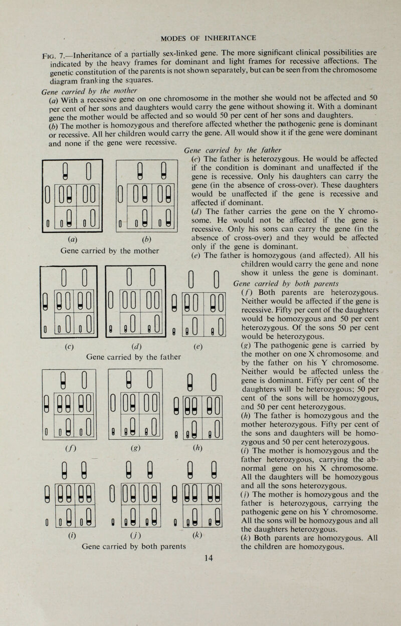 MODES OF INHERITANCE 0 0 00 Q 0 y 0 0 00 Q 00 0 (o) Ф) Gene carried by the mother 0 0 0 00 0 00 0 0 0 0 0 0 pjq 7 Inheritance of a partially sex-linked gene. The more significant clinical possibilities are indicated by the heavy frames for dominant and light frames for recessive affections. The genetic constitution of the parents is not shown separately, but can be seen from the chromosome diagram franking the squares. Gene carried by the mother (a) With a recessive gene on one chromosome in the mother she would not be affected and 50 per cent of her sons and daughters would carry the gene without showing it. With a dominant gene the mother would be affected and so would 50 per cent of her sons and daughters. (b) The mother is homozygous and therefore affected whether the pathogenic gene is dominant or recessive. All her children would carry the gene. All would show it if the gene were dominant and none if the gene were recessive. Gene carried by the father (r) The father is heterozygous. He would be affected if the condition is dominant and unaffected if the gene is recessive. Only his daughters can carry the gene (in the absence of cross-over). These daughters would be unaffected if the gene is recessive and affected if dominant. (i/) The father carries the gene on the Y chromo¬ some. He would not be affected if the gene is recessive. Only his sons can carry the gene (in the absence of cross-over) and they would be affected only if the gene is dominant. (e) The father is homozygous (and affected). All his children would carry the gene and none show it unless the gene is dominant. Gene carried by both parents if) Both parents are heterozygous. Neither would be affected if the gene is recessive. Fifty per cent of the daughters would be homozygous and 50 per cent heterozygous. Of the sons 50 per cent would be heterozygous. (g) The pathogenic gene is carried by the mother on one X chromosome: and by the father on his Y chromosome. Neither would be affected unless the gene is dominant. Fifty per cent of the daughters will be heterozygous; 50 per cent of the sons will be homozygous, and 50 per cent heterozygous. (Ä) The father is homozygous and the mother heterozygous. Fifty per cent of the sons and daughters will be homo¬ zygous and 50 per cent heterozygous. (/) The mother is homozygous and the father heterozygous, carrying the ab¬ normal gene on his X chromosome. All the daughters will be homozygous and all the sons heterozygous. ( /) The mother is homozygous and the father is heterozygous, carrying the pathogenic gene on his Y chromosome. All the sons will be homozygous and all the daughters heterozygous. {k) Both parents are homozygous. All the children are homozygous. 00 0 00 0 0 (Ô id) Gene carried by the father (e) 0 0 0 00 0 0 0 0 0 0 0 0 000 Q 00 (/) (g) (h) 0 0 0 0 0 0 0 (0 (J) Gene carried by both parents (k) 14