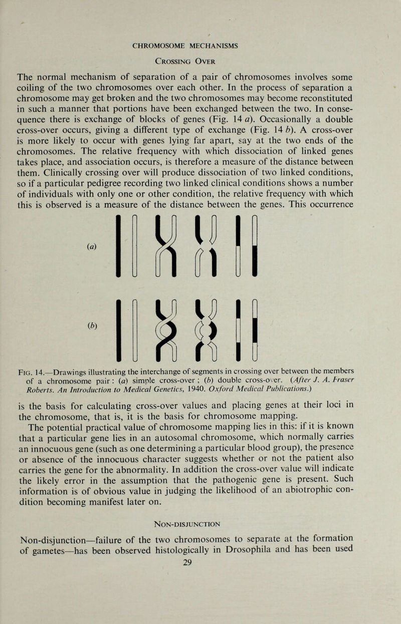 CHROMOSOME MECHANISMS Crossing Over The normal mechanism of separation of a pair of chromosomes involves some coiling of the two chromosomes over each other. In the process of separation a chromosome may get broken and the two chromosomes may become reconstituted in such a manner that portions have been exchanged between the two. In conse¬ quence there is exchange of blocks of genes (Fig. 14 a). Occasionally a double cross-over occurs, giving a different type of exchange (Fig. 14 b). A cross-over is more likely to occur with genes lying far apart, say at the two ends of the chromosomes. The relative frequency with which dissociation of linked genes takes place, and association occurs, is therefore a measure of the distance between them. Chnically crossing over will produce dissociation of two linked conditions, so if a particular pedigree recording two linked clinical conditions shows a number of individuals with only one or other condition, the relative frequency with which this is observed is a measure of the distance between the genes. This occurrence Fig. 14.—Drawings illustrating the interchange of segments in crossing over between the members of a chromosome pair ; {a) simple cross-over ; {b) double cross-over. {After J. A. Fraser Roberts. An Introduction to Medical Genetics, 1940. Oxford Medical Publications.) is the basis for calculating cross-over values and placing genes at their loci in the chromosome, that is, it is the basis for chromosome mapping. The potential practical value of chromosome mapping lies in this: if it is known that a particular gene hes in an autosomal chromosome, which normally carries an innocuous gene (such as one determining a particular blood group), the presence or absence of the innocuous character suggests whether or not the patient also carries the gene for the abnormality. In addition the cross-over value will indicate the likely error in the assumption that the pathogenic gene is present. Such information is of obvious value in judging the likelihood of an abiotrophic con¬ dition becoming manifest later on. Non-disjunction—failure of the two chromosomes to separate at the formation of gametes—has been observed histologically in Drosophila and has been used 29 Non-disjunction