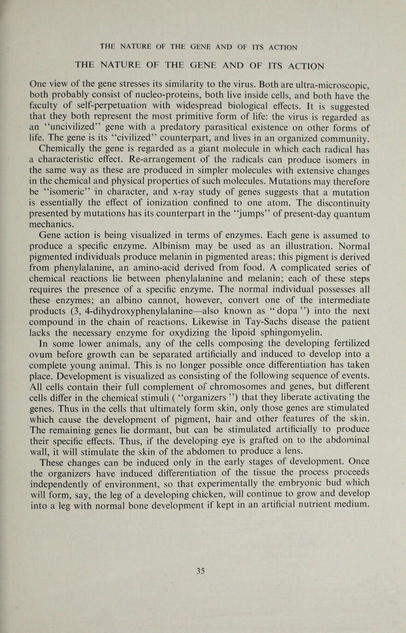 THE NATURE OF THE GENE AND OF ITS ACTION THE NATURE OF THE GENE AND OF ITS ACTION One view of the gene stresses its similarity to the virus. Both are ultra-microscopic, both probably consist of nucleo-proteins, both live inside cells, and both have the faculty of self-perpetuation with widespread biological effects. It is suggested that they both represent the most primitive form of life: the virus is regarded as an uncivilized gene with a predatory parasitical existence on other forms of life. The gene is its civilized counterpart, and lives in an organized community. Chemically the gene is regarded as a giant molecule in which each radical has a characteristic effect. Re-arrangement of the radicals can produce isomers in the same way as these are produced in simpler molecules with extensive changes in the chemical and physical properties of such molecules. Mutations may therefore be isomeric in character, and x-ray study of genes suggests that a mutation is essentially the effect of ionization confined to one atom. The discontinuity presented by mutations has its counterpart in the jumps of present-day quantum mechanics. Gene action is being visualized in terms of enzymes. Each gene is assumed to produce a specific enzyme. Albinism may be used as an illustration. Normal pigmented individuals produce melanin in pigmented areas; this pigment is derived from phenylalanine, an amino-acid derived from food. A complicated series of chemical reactions lie between phenylalanine and melanin; each of these steps requires the presence of a specific enzyme. The normal individual possesses all these enzymes; an albino cannot, however, convert one of the intermediate products (3, 4-dihydroxyphenylalanine—also known as dopa) into the next compound in the chain of reactions. Likewise in Tay-Sachs disease the patient lacks the necessary enzyme for oxydizing the lipoid sphingomyelin. In some lower animals, any of the cells composing the developing fertilized ovum before growth can be separated artificially and induced to develop into a complete young animal. This is no longer possible once differentiation has taken place. Development is visualized as consisting of the following sequence of events. All cells contain their full complement of chromosomes and genes, but different cells differ in the chemical stimuli ( organizers ) that they liberate activating the genes. Thus in the cells that ultimately form skin, only those genes are stimulated which cause the development of pigment, hair and other features of the skin. The remaining genes lie dormant, but can be stimulated artificially to produce their specific effects. Thus, if the developing eye is grafted on to the abdominal wall, it will stimulate the skin of the abdomen to produce a lens. These changes can be induced only in the early stages of development. Once the organizers have induced differentiation of the tissue the process proceeds independently of environment, so that experimentally the embryonic bud which will form, say, the leg of a developing chicken, will continue to grow and develop into a leg with normal bone development if kept in an artificial nutrient medium. 35
