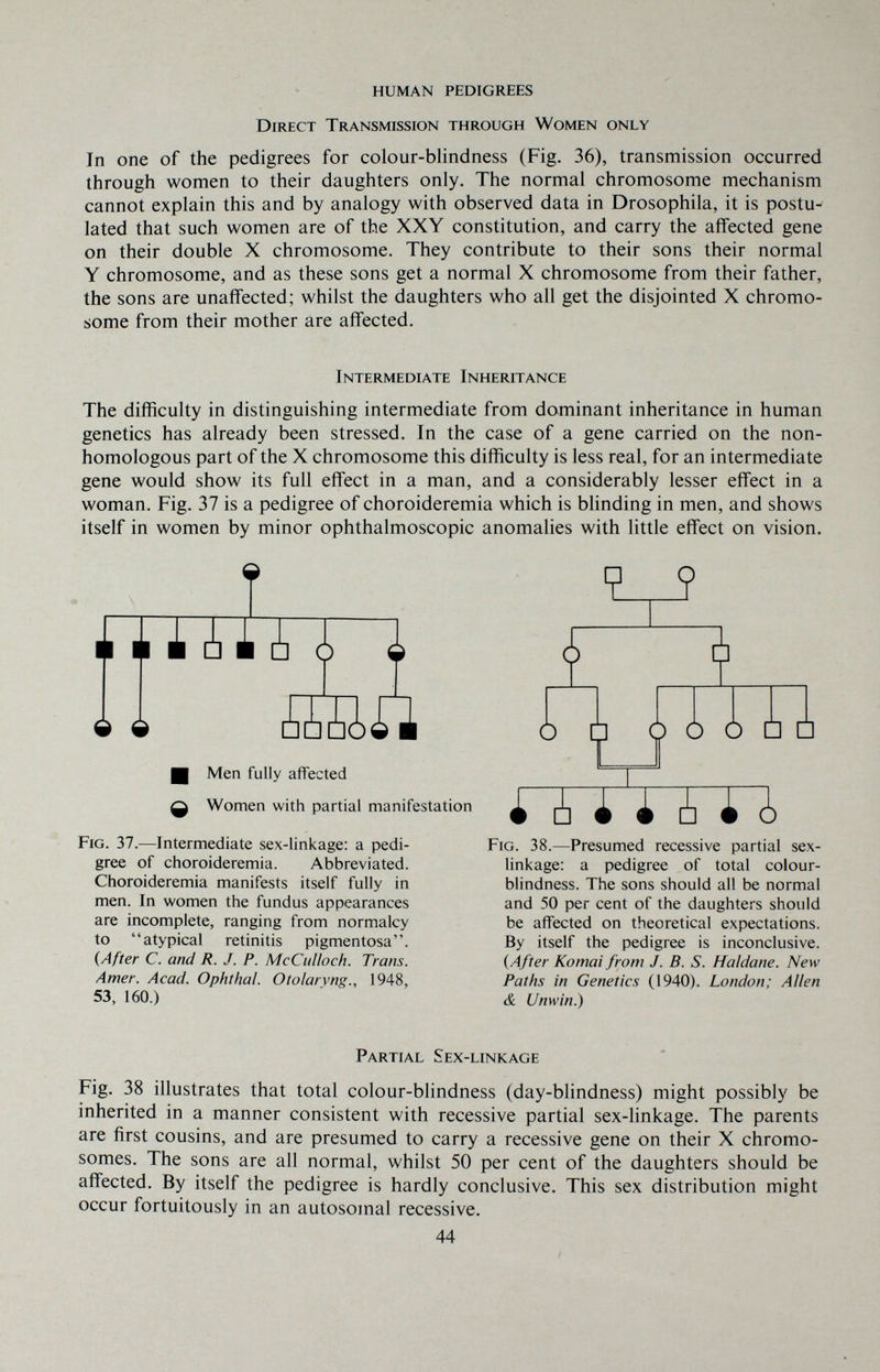 HUMAN PEDIGREES Direct Transmission through Women only In one of the pedigrees for colour-blindness (Fig. 36), transmission occurred through women to their daughters only. The normal chromosome mechanism cannot explain this and by analogy with observed data in Drosophila, it is postu¬ lated that such women are of the XXY constitution, and carry the affected gene on their double X chromosome. They contribute to their sons their normal Y chromosome, and as these sons get a normal X chromosome from their father, the sons are unaffected; whilst the daughters who all get the disjointed X chromo¬ some from their mother are affected. Intermediate Inheritance The difficulty in distinguishing intermediate from dominant inheritance in human genetics has already been stressed. In the case of a gene carried on the non¬ homologous part of the X chromosome this difficulty is less real, for an intermediate gene would show its full effect in a man, and a considerably lesser effect in a woman. Fig. 37 is a pedigree of choroideremia which is blinding in men, and shows itself in women by minor ophthalmoscopic anomalies with little effect on vision. lUUU ¿ 9 0 Lì ö Щ Men fully affected Q Women with partial manifestation Fig. 37.-—Intermediate sex-linkage; a pedi¬ gree of choroideremia. Abbreviated. Choroideremia manifests itself fully in men. In women the fundus appearances are incomplete, ranging from normalcy to atypical retinitis pigmentosa. {After C. and R. J. P. McCulloch. Trans. Amer. Acad. Ophthal. Otolarvng., 1948, 53, 160.) t Ó Ó Ò □ □ i [!] ¿ i ¿] i ¿ Fig. 38.—Presumed recessive partial sex- linkage: a pedigree of total colour¬ blindness. The sons should all be normal and 50 per cent of the daughters should be affected on theoretical expectations. By itself the pedigree is inconclusive. {After Komai from J. B. S. Haìdane. New Paths in Genetics (1940). London; Allen & Unwin.) Partial Sex-linkage Fig. 38 illustrates that total colour-blindness (day-blindness) might possibly be inherited in a manner consistent with recessive partial sex-linkage. The parents are first cousins, and are presumed to carry a recessive gene on their X chromo¬ somes. The sons are all normal, whilst 50 per cent of the daughters should be affected. By itself the pedigree is hardly conclusive. This sex distribution might occur fortuitously in an autosomal recessive. 44