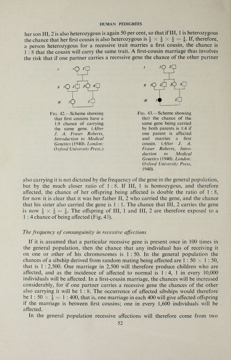 HUMAN PEDIGREES her son III, 2 is also heterozygous is again 50 per cent, so that if III, 1 is heterozygous the chance that her first cousin is also heterozygous is i x | X | If, therefore, a person heterozygous for a recessive trait marries a first cousin, the chance is 1 : 8 that the cousin will carry the same trait. A first-cousin marriage thus involves the risk that if one partner carries a recessive gene the chance of the other partner '95 II /Q III 9 1? Fig. 42.—Scheme showing that first cousins have a 1:8 chance of carrying the same gene. (After J. A. Fraser Roberts, Introduction to Medical Genetics (1940). London; Oxford University Press.) II III 9 Fig. 43.—Scheme showing that the chance of the same gene being carried by both parents is 1:4 if one parent is affected and marries a first cousin. (After J. A. Fraser Roberts, Intro¬ duction to Medical Genetics (1940). London; Oxford University Press, 1940). also carrying it is not dictated by the frequency of the gene in the general population, but by the much closer ratio of 1:8. If III, 1 is homozygous, and therefore affected, the chance of her offspring being affected is double the ratio of 1 : 8, for now it is clear that it was her father II, 2 who carried the gene, and the chance that his sister also carried the gene is 1 : 1. The chance that III, 2 carries the gene is now i X ^ The offspring of III, 1 and III, 2 are therefore exposed to a 1 : 4 chance of being affected (Fig. 43). The frequency of consanguinity in recessive affections If it is assumed that a particular recessive gene is present once in 100 times in the general population, then the chance that any individual has of receiving it on one or other of his chromosomes is 1 : 50. In the general population the chances of a sibship derived from random mating being affected are 1 : 50 x 1 : 50, that is 1 : 2,500, One marriage in 2,500 will therefore produce children who are affected, and as the incidence of affected to normal is 1 : 4, 1 in every 10,000 individuals will be affected. In a first-cousin marriage, the chances will be increased considerably, for if one partner carries a recessive gene the chances of the other also carrying it will be 1 : 8. The occurrence of affected sibships would therefore be 1 ; 50 X = 1 : 400, that is, one marriage in each 400 will give affected offspring if the marriage is between first cousins; one in every 1,600 individuals will be affected. In the general population recessive affections will therefore come from two 52