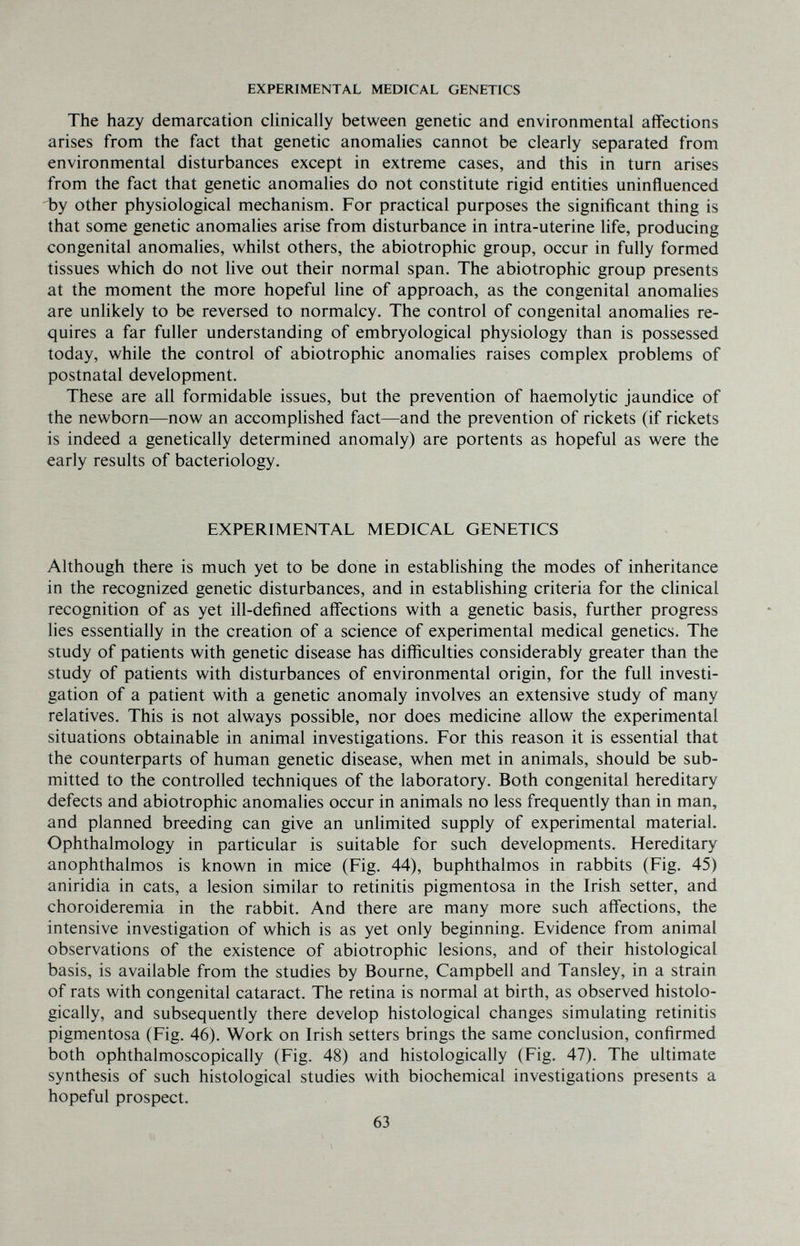 EXPERIMENTAL MEDICAL GENETICS The hazy demarcation clinically between genetic and environmental affections arises from the fact that genetic anomalies cannot be clearly separated from environmental disturbances except in extreme cases, and this in turn arises from the fact that genetic anomalies do not constitute rigid entities uninfluenced by other physiological mechanism. For practical purposes the significant thing is that some genetic anomalies arise from disturbance in intra-uterine life, producing congenital anomalies, whilst others, the abiotrophic group, occur in fully formed tissues which do not live out their normal span. The abiotrophic group presents at the moment the more hopeful line of approach, as the congenital anomalies are unlikely to be reversed to normalcy. The control of congenital anomalies re¬ quires a far fuller understanding of embryological physiology than is possessed today, while the control of abiotrophic anomalies raises complex problems of postnatal development. These are all formidable issues, but the prevention of haemolytic jaundice of the newborn—now an accomphshed fact—and the prevention of rickets (if rickets is indeed a genetically determined anomaly) are portents as hopeful as were the early results of bacteriology. EXPERIMENTAL MEDICAL GENETICS Although there is much yet to be done in establishing the modes of inheritance in the recognized genetic disturbances, and in establishing criteria for the clinical recognition of as yet ill-defined affections with a genetic basis, further progress lies essentially in the creation of a science of experimental medical genetics. The study of patients with genetic disease has difficulties considerably greater than the study of patients with disturbances of environmental origin, for the full investi¬ gation of a patient with a genetic anomaly involves an extensive study of many relatives. This is not always possible, nor does medicine allow the experimental situations obtainable in animal investigations. For this reason it is essential that the counterparts of human genetic disease, when met in animals, should be sub¬ mitted to the controlled techniques of the laboratory. Both congenital hereditary defects and abiotrophic anomalies occur in animals no less frequently than in man, and planned breeding can give an unlimited supply of experimental material. Ophthalmology in particular is suitable for such developments. Hereditary anophthalmos is known in mice (Fig. 44), buphthalmos in rabbits (Fig. 45) aniridia in cats, a lesion similar to retinitis pigmentosa in the Irish setter, and choroideremia in the rabbit. And there are many more such affections, the intensive investigation of which is as yet only beginning. Evidence from animal observations of the existence of abiotrophic lesions, and of their histological basis, is available from the studies by Bourne, Campbell and Tansley, in a strain of rats with congenital cataract. The retina is normal at birth, as observed histolo¬ gically, and subsequently there develop histological changes simulating retinitis pigmentosa (Fig. 46). Work on Irish setters brings the same conclusion, confirmed both ophthalmoscopically (Fig. 48) and histologically (Fig. 47). The ultimate synthesis of such histological studies with biochemical investigations presents a hopeful prospect. 63