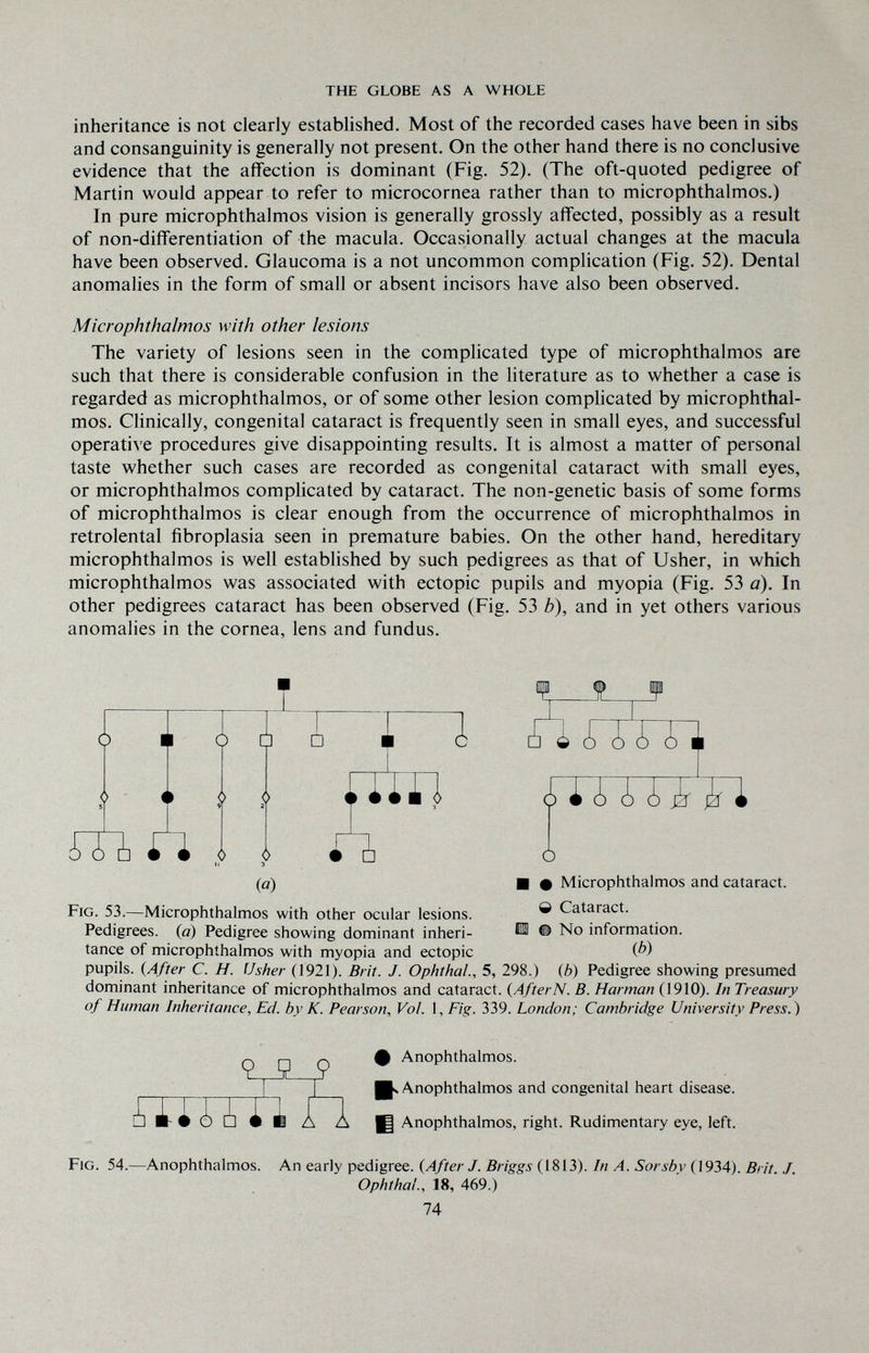 THE GLOBE AS A WHOLE inheritance is not clearly established. Most of the recorded cases have been in sibs and consanguinity is generally not present. On the other hand there is no conclusive evidence that the affection is dominant (Fig. 52). (The oft-quoted pedigree of Martin would appear to refer to microcornea rather than to microphthalmos.) In pure microphthalmos vision is generally grossly affected, possibly as a result of non-differentiation of the macula. Occasionally actual changes at the macula have been observed. Glaucoma is a not uncommon complication (Fig. 52). Dental anomalies in the form of small or absent incisors have also been observed. Microphthalmos with other lesions The variety of lesions seen in the complicated type of microphthalmos are such that there is considerable confusion in the literature as to whether a case is regarded as microphthalmos, or of some other lesion comphcated by microphthal¬ mos. Clinically, congenital cataract is frequently seen in small eyes, and successful operative procedures give disappointing results. It is almost a matter of personal taste whether such cases are recorded as congenital cataract with small eyes, or microphthalmos complicated by cataract. The non-genetic basis of some forms of microphthalmos is clear enough from the occurrence of microphthalmos in retrolental fibroplasia seen in premature babies. On the other hand, hereditary microphthalmos is well established by such pedigrees as that of Usher, in which microphthalmos was associated with ectopic pupils and myopia (Fig. 53 a). In other pedigrees cataract has been observed (Fig. 53 b), and in yet others various anomalies in the cornea, lens and fundus. w 1 Ш n Í i ¿ tU ÍTITI □ ò (ö) ф Microphthalmos and cataract. О Cataract. # No information. Ф) Fig. 53.—Microphthalmos with other ocular lesions. Pedigrees, (a) Pedigree showing dominant inheri¬ tance of microphthalmos with myopia and ectopic pupils. (After C. H. Usher (1921). Brit. J. Ophthal., 5, 298.) {b) Pedigree showing presumed dominant inheritance of microphthalmos and cataract. (AfterN. B. Harman (1910). In Treasury of Human Inheritance, Ed. by K. Pearson, Vol. 1, Fig. 339. London; Cambridge University Press.) КШШ n Anophthalmos. . Anophthalmos and congenital heart disease. Anophthalmos, right. Rudimentary eye, left. Fig. 54.—Anophthalmos. An early pedigree. (After J. Briggs (1813). In A. Sorsbv (1934). Brit. J Ophthal., 18, 469.) 74