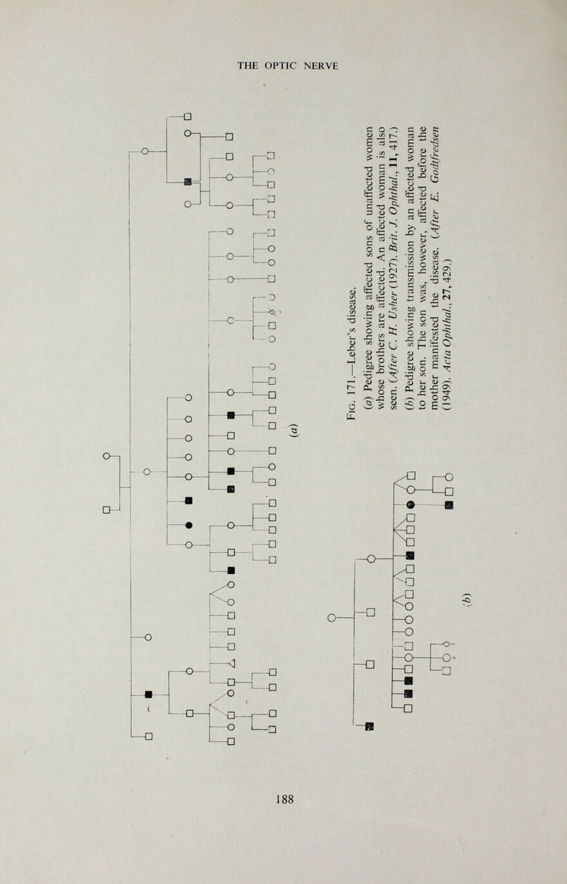 THE OPTIC NERVE O—L -o- —□ —□ o—' —-o <u СЛ та (/) <D X) 4> J Ü pu С О -r D сл 1-^ e й- s M ^ _ с (U g t) с a ,(u о 3 ^ Ci. Ç ^ rs P О *0 tb. О kJ О о с cp •73 0) <N ■*—' fT\ u <u 2 CT5 ^ M) « .s (U 1¿) ^ « ч: о д: и. QJ ï! О S •S?¿S •о X <u (U ^ О С ^ J2 <l> <3^0» ^ ' > !Л t~- <S -Ç a ■ii.« Os 0\ o—I -Cb- CM --o- -□- Q- —О —a r-D *—□ 188