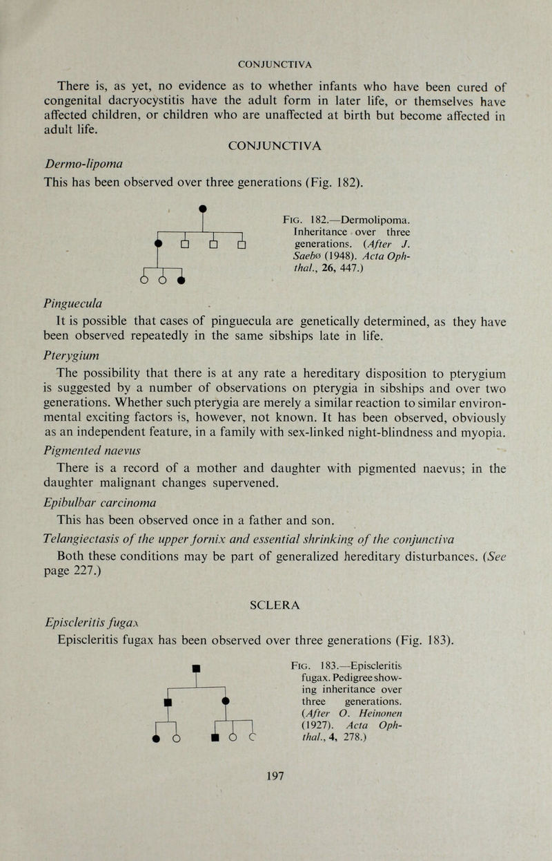 CONJUNCTIVA There is, as yet, no evidence as to whether infants who have been cured of congenital dacryocystitis have the adult form in later life, or themselves have affected children, or children who are unaffected at birth but become affected in adult life. CONJUNCTIVA Dermo-lipoma This has been observed over three generations (Fig. 182). Fig. 182.—Dermolipoma. Inheritance over three generations. (After J. Saebe (1948). Acta Oph¬ thal., 26, 447.) Pinguecula It is possible that cases of Pinguecula are genetically determined, as they have been observed repeatedly in the same sibships late in life. Pterygium The possibility that there is at any rate a hereditary disposition to pterygium is suggested by a number of observations on pterygia in sibships and over two generations. Whether such pterygia are merely a similar reaction to similar environ¬ mental exciting factors is, however, not known. It has been observed, obviously as an independent feature, in a family with sex-linked night-blindness and myopia. Pigmented naevus There is a record of a mother and daughter with pigmented naevus; in the daughter malignant changes supervened. Epibulhar carcinoma This has been observed once in a father and son. Telangiectasis of the upper jornix and essential shrinking of the conjunctiva Both these conditions may be part of generalized hereditary disturbances. (See page 227.) SCLERA Episcleritis fugax Episcleritis fugax has been observed over three generations (Fig. 183). Fig. 183.—Episcleritis fugax. Pedigree show¬ ing inheritance over three generations. (After O. Heinonen 0927). Acta Oph¬ thal., 4, 278.) Ù ¿ ä ¿ ¿ A Л I ì ш 197