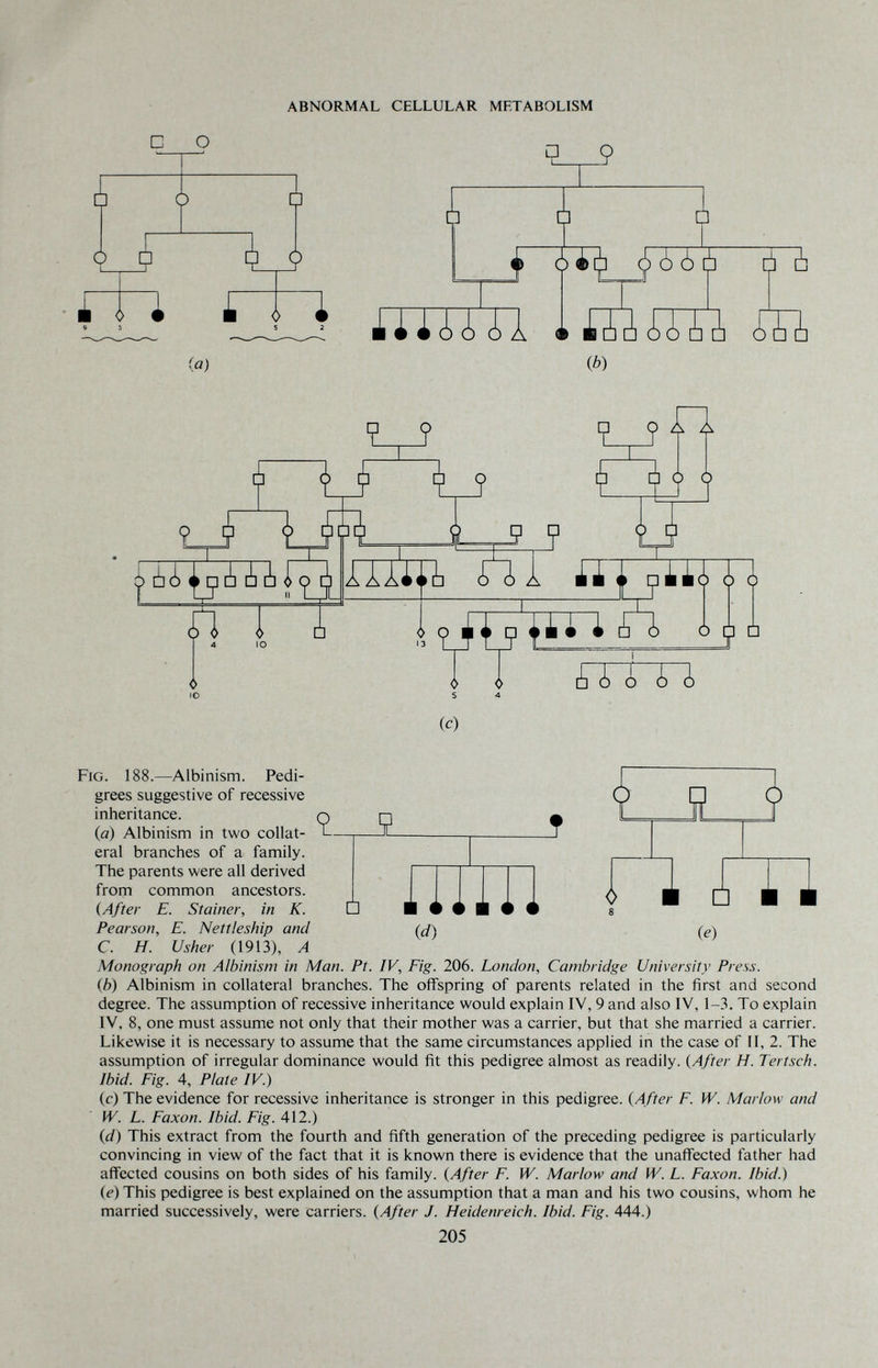 ABNORMAL CELLULAR METABOLISM £ □ О ò i го гю (а) ШШ1 Ç ? Ш£Ш Ш m П -Л^пУ ¿А <мр ¿ ¿ ¿ i (j) f y t? CIH лп Í -4=^ V Ь ¿Ц 9ÍiH^ 1Ш « 13 (р i^> [p i 5ò o 1^] □ i¿ ¿ ¿ ¿ (c) Fig. 188.—Albinism. Pedi¬ grees suggestive of recessive inheritance. q q (a) Albinism in two collat- T-— Ï- eral branches of a family. The parents were all derived from common ancestors. {After E. Stainer, in K. Ü Pearson, E. Nettieship and C. H. Usher (1913), A {d) □ ie) Monograph on Albinism in Man. Pt. IV, Fig. 206. London, Cambridge University Press. (b) Albinism in collateral branches. The offspring of parents related in the first and second degree. The assumption of recessive inheritance would explain IV, 9 and also IV, 1-3. To explain IV, 8, one must assume not only that their mother was a carrier, but that she married a carrier. Likewise it is necessary to assume that the same circumstances applied in the case of II, 2. The assumption of irregular dominance would fit this pedigree almost as readily. (After H. Tertsch. Ibid. Fig. 4, Plate IV.) (c) The evidence for recessive inheritance is stronger in this pedigree. (After F. W. Marlow and W. L. Faxon. Ibid. Fig. 412.) (d) This extract from the fourth and fifth generation of the preceding pedigree is particularly convincing in view of the fact that it is known there is evidence that the unaffected father had affected cousins on both sides of his family. (After F. W. Marlow and W. L. Faxon. Ibid.) (e) This pedigree is best explained on the assumption that a man and his two cousins, whom he married successively, were carriers. (After J. Heidenreich. Ibid. Fig. 444.) 205