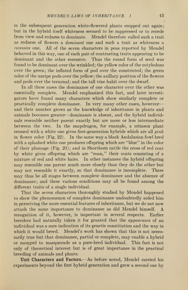 in the subsequent generation white-flowered plants cropped out again; but in the hybrid itself whiteness seemed to be suppressed or to recede from view and redness to dominate. Mendel therefore called such a trait as redness of flowers a dominant one and such a trait as whiteness a recessive one. All of the seven characters in peas reported by Mendel behaved in this way, one of each pair of contrasting traits appearing to be dominant and the other recessive. Thus the round form of seed was found to be dominant over the wrinkled; the yellow color of the cotyledons over the green; the inflated form of pod over the constricted; the green color of the unripe pods over the yellow ; the axillary position of the flowers and pods over the terminal; and the tall vine habit over the dwarf. In all these cases the dominance of one character over the other was essentially complete. Mendel emphasized this fact, and later investi gators have found many characters which show similarly complete or practically complete dominance. In very many other cases, however— and their number grows as the knowledge of inheritance in plants and animals becomes greater—dominance is absent, and the hybrid individ uals resemble neither parent exactly but are more or less intermediate between the two. In the snapdragon, for example, a crimson plant crossed with a white one gives first-generation hybrids which are all pink in flower color (Fig. 22). In the same way a black Andalusian fowl bred with a splashed white one produces offspring which are blue in the color of their plumage (Fig. 23); and in Shorthorn cattle the cross of red coat by white gives offspring which are roan, their coats consisting of a mixture of red and white hairs. In other instances the hybrid offspring may resemble one parent much more closely than they do the other but may not resemble it exactly, so that dominance is incomplete. There may thus be all stages between complete dominance and the absence of dominance; and these various conditions may all be found among the different traits of a single individual. That the seven characters thoroughly studied by Mendel happened to show the phenomenon of complete dominance undoubtedly aided him in perceiving the more essential features of inheritance, but we do not now attach the same importance to dominance as did Mendel himself. A recognition of it, however, is important in several respects. Earlier breeders had naturally taken it for granted that the ap-pearance of an individual was a sure indication of its genetic constitution and the way in which it would breed. Mendel's work has shown that this is not neces sarily true but that dominance, partial or complete, may enable a hybrid or mongrel to masquerade as a pure-bred individual. This fact is not only of theoretical interest but is of great importance in the practical breeding of animals and plants. Unit Characters and Factors. —As before noted, Mendel carried his experiments beyond the first hybrid generation and grew a second one by