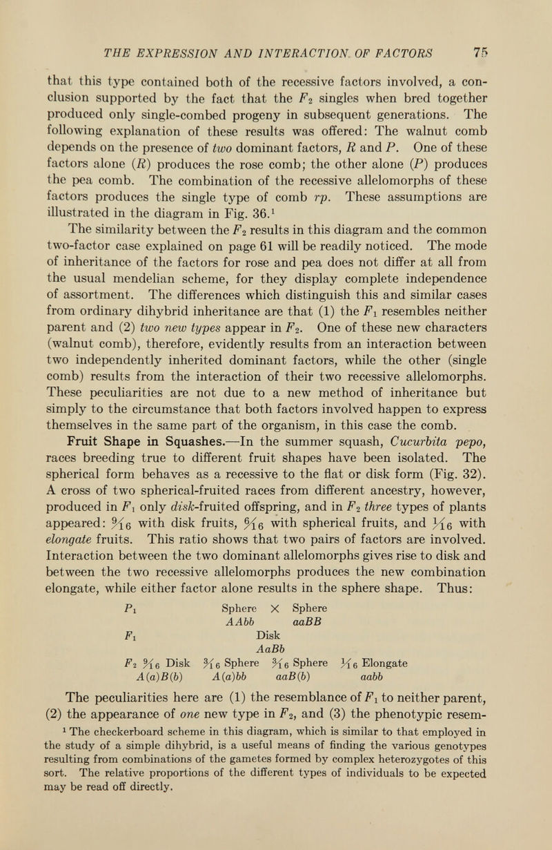 that this type contained both of the recessive factors involved, a con clusion supported by the fact that the F 2 singles when bred together produced only single-combed progeny in subsequent generations. The following explanation of these results was offered: The walnut comb depends on the presence of two dominant factors, R and P. One of these factors alone (R) produces the rose comb; the other alone (P) produces the pea comb. The combination of the recessive allelomorphs of these factors produces the single type of comb rp. These assumptions are illustrated in the diagram in Fig. 36. 1 The similarity between the F2 results in this diagram and the common two-factor case explained on page 61 will be readily noticed. The mode of inheritance of the factors for rose and pea does not differ at all from the usual mendelian scheme, for they display complete independence of assortment. The differences which distinguish this and similar cases from ordinary dihybrid inheritance are that (1) the F1 resembles neither parent and (2) two new types appear in F<¿. One of these new characters (walnut comb), therefore, evidently results from an interaction between two independently inherited dominant factors, while the other (single comb) results from the interaction of their two recessive allelomorphs. These peculiarities are not due to a new method of inheritance but simply to the circumstance that both factors involved happen to express themselves in the same part of the organism, in this case the comb. Fruit Shape in Squashes.—In the summer squash, Cucurbita pepo, races breeding true to different fruit shapes have been isolated. The spherical form behaves as a recessive to the flat or disk form (Fig. 32). A cross of two spherical-fruited races from different ancestry, however, produced in F 1 only efo'sfc-fruited offspring, and in P 2 three types of plants appeared: %6 with disk fruits, % 6 with spherical fruits, and with elongate fruits. This ratio shows that two pairs of factors are involved. Interaction between the two dominant allelomorphs gives rise to disk and between the two recessive allelomorphs produces the new combination elongate, while either factor alone results in the sphere shape. Thus: Pi Sphere X Sphere AAbb aaBB Fi Disk AaBb F 2 %6 Disk Sphere Sphere Elongate A (a) B(b) A(a)bb aaB(b) aabb The peculiarities here are (1) the resemblance of F x to neither parent, (2) the appearance of one new type in F 2) and (3) the phenotypic resem- 1 The checkerboard scheme in this diagram, which is similar to that employed in the study of a simple dihybrid, is a useful means of finding the various genotypes resulting from combinations of the gametes formed by complex heterozygotes of this sort. The relative proportions of the different types of individuals to be expected may be read off directly.