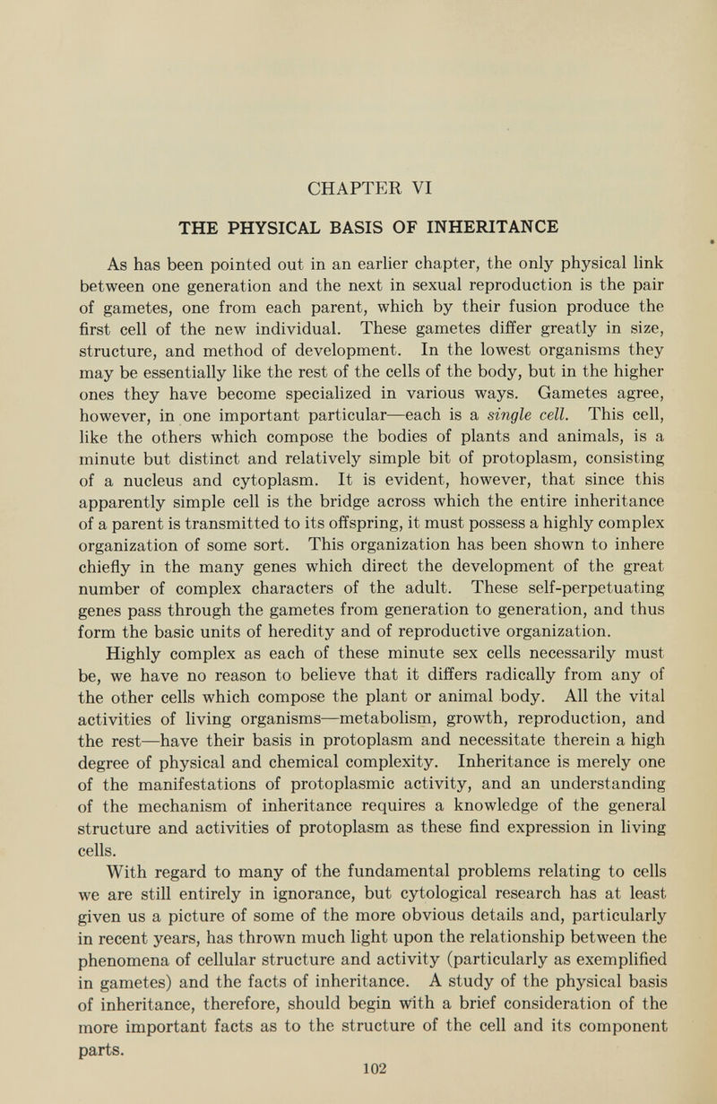 CHAPTER VI THE PHYSICAL BASIS OF INHERITANCE As has been pointed out in an earlier chapter, the only physical link between one generation and the next in sexual reproduction is the pair of gametes, one from each parent, which by their fusion produce the first cell of the new individual. These gametes differ greatly in size, structure, and method of development. In the lowest organisms they may be essentially like the rest of the cells of the body, but in the higher ones they have become specialized in various ways. Gametes agree, however, in one important particular—each is a single cell. This cell, like the others which compose the bodies of plants and animals, is a minute but distinct and relatively simple bit of protoplasm, consisting of a nucleus and cytoplasm. It is evident, however, that since this apparently simple cell is the bridge across which the entire inheritance of a parent is transmitted to its offspring, it must possess a highly complex organization of some sort. This organization has been shown to inhere chiefly in the many genes which direct the development of the great number of complex characters of the adult. These self-perpetuating genes pass through the gametes from generation to generation, and thus form the basic units of heredity and of reproductive organization. Highly complex as each of these minute sex cells necessarily must be, we have no reason to believe that it differs radically from any of the other cells which compose the plant or animal body. All the vital activities of living organisms—metabolism, growth, reproduction, and the rest—have their basis in protoplasm and necessitate therein a high degree of physical and chemical complexity. Inheritance is merely one of the manifestations of protoplasmic activity, and an understanding of the mechanism of inheritance requires a knowledge of the general structure and activities of protoplasm as these find expression in living cells. With regard to many of the fundamental problems relating to cells we are still entirely in ignorance, but cytological research has at least given us a picture of some of the more obvious details and, particularly in recent years, has thrown much light upon the relationship between the phenomena of cellular structure and activity (particularly as exemplified in gametes) and the facts of inheritance. A study of the physical basis of inheritance, therefore, should begin with a brief consideration of the more important facts as to the structure of the cell and its component parts.