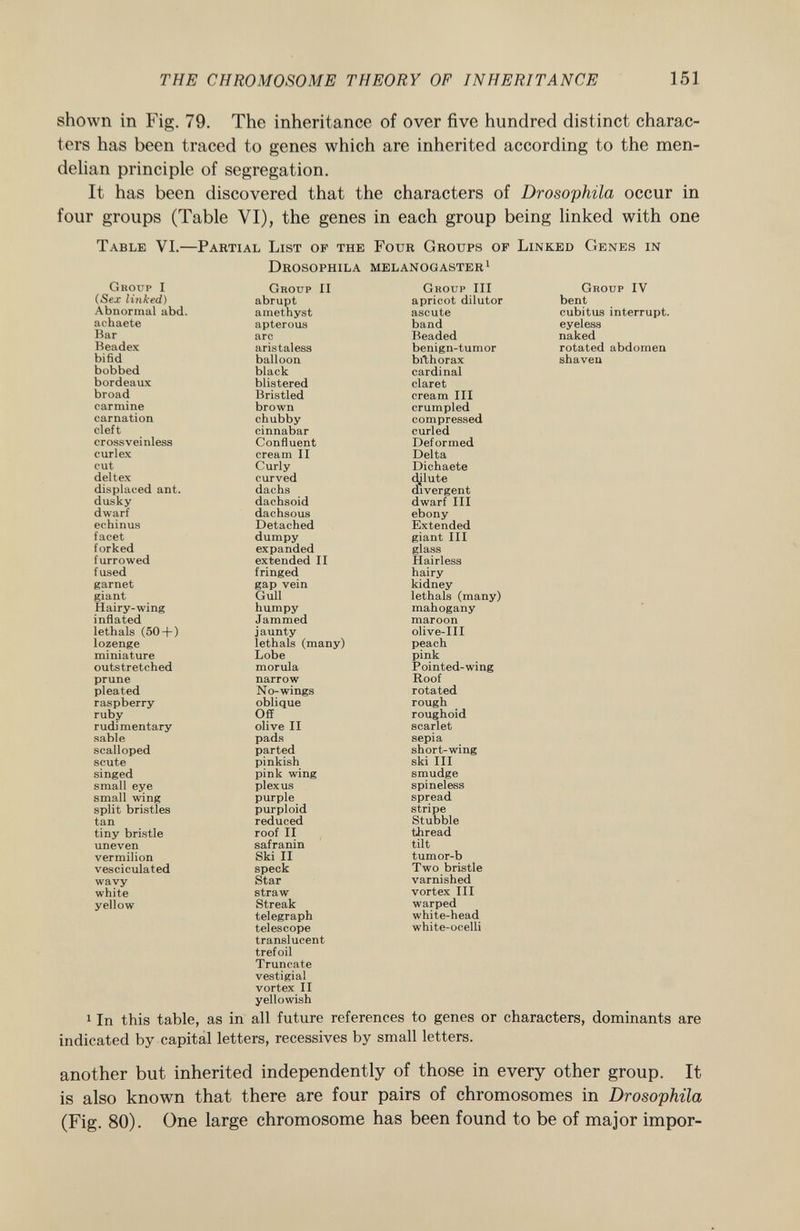 shown in Fig. 79. The inheritance of over five hundred distinct charac ters has been traced to genes which are inherited according to the men- delian principle of segregation. It has been discovered that the characters of Drosophila occur in four groups (Table VI), the genes in each group being linked with one Table VI.—Partial List of the Four Groups of Linked Genes in Drosophila melanogaster 1 G roup I G roup II G roup III G roup IV (Sex linked) abrupt apricot dilutor bent Abnormal abd. amethyst ascute cubitus interrupt. achaete apterous band eyeless liar arc Beaded naked Beadex aristaless benign-tumor rotated abdomen bifid balloon bfthorax shaven bobbed black cardinal bordeaux blistered claret broad Bristled cream III carmine brown crumpled carnation chubby compressed cleft cinnabar curled crossveinless Confluent Deformed curlex cream II Delta cut Curly Dichaete deltex curved dilute displaced ant. dachs divergent dusky dachsoid dwarf III dwarf dachsous ebony echinus Detached Extended facet dumpy giant III forked expanded glass furrowed extended II Hairless fused fringed hairy garnet gap vein kidney giant Gull lethals (many) Hairy-wing humpy mahogany inflated Jammed maroon lethals (50 + ) jaunty olive-II I lozenge lethals (many) peach miniature Lobe pink outstretched morula Pointed-wing prune narrow Roof pleated No-wings rotated raspberry oblique rough ruby Off roughoid rudimentary olive II scarlet sable pads sepia scalloped parted short-wing scute pinkish ski III singed pink wing smudge small eye plexus spineless small wing purple spread split bristles purploid stripe tan reduced Stubble tiny bristle roof 11 thread uneven safranin tilt vermilion Ski II tumor-b vesciculated speck Two bristle wavy Star varnished white straw vortex III yellow Streak warped telegraph telescope translucent trefoil Truncate vestigial vortex II yellowish white-head white-ocelli In this table, as in all future references to genes or characters, dominants indicated by capital letters, récessives by small letters. another but inherited independently of those in every other group. It is also known that there are four pairs of chromosomes in Drosophila (Fig. 80). One large chromosome has been found to be of major impor-