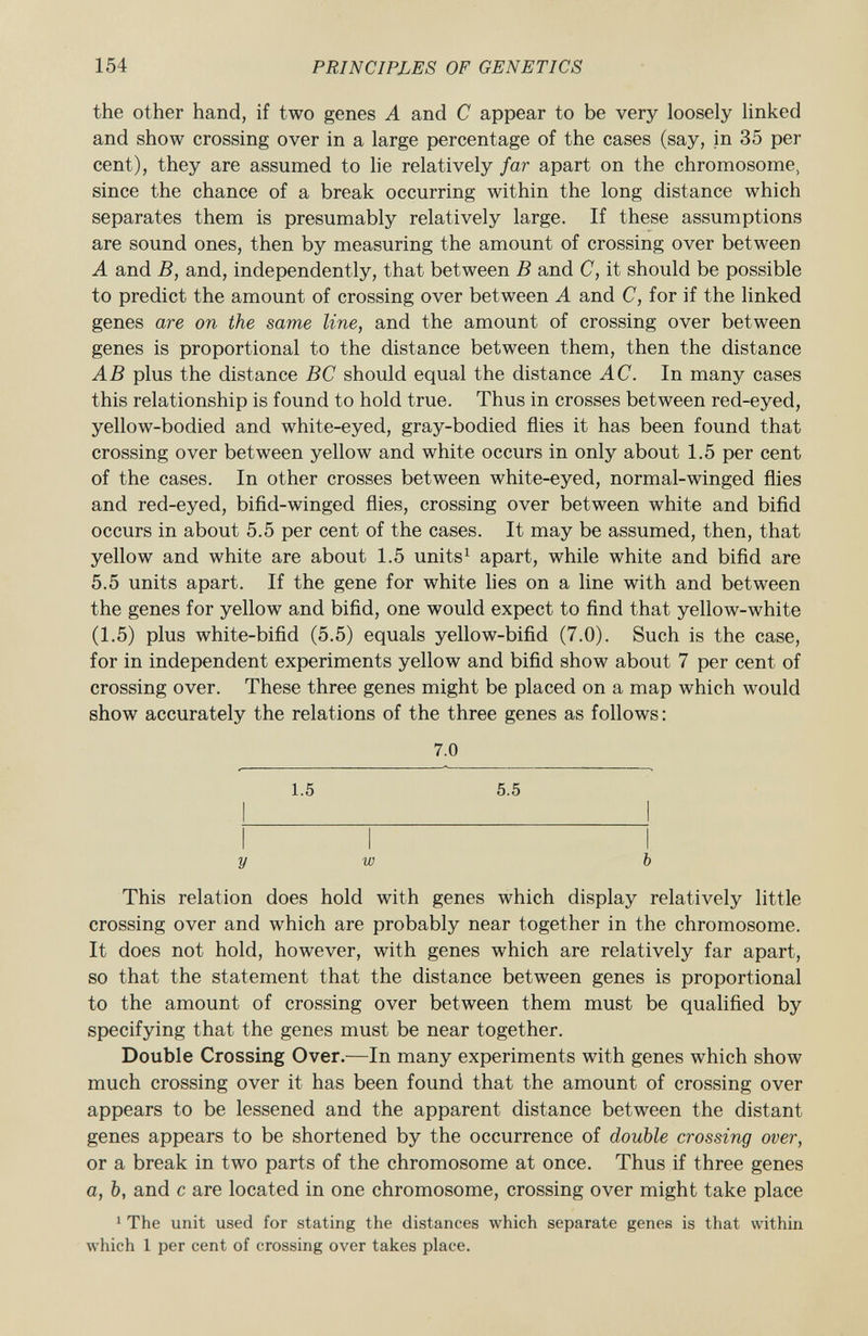 the other hand, if two genes A and C appear to be very loosely linked and show crossing over in a large percentage of the cases (say, in 35 per cent), they are assumed to lie relatively far apart on the chromosome, since the chance of a break occurring within the long distance which separates them is presumably relatively large. If these assumptions are sound ones, then by measuring the amount of crossing over between A and B, and, independently, that between B and C, it should be possible to predict the amount of crossing over between A and C, for if the linked genes are on the same line, and the amount of crossing over between genes is proportional to the distance between them, then the distance AB plus the distance BC should equal the distance AC. In many cases this relationship is found to hold true. Thus in crosses between red-eyed, yellow-bodied and white-eyed, gray-bodied flies it has been found that crossing over between yellow and white occurs in only about 1.5 per cent of the cases. In other crosses between white-eyed, normal-winged flies and red-eyed, bifid-winged flies, crossing over between white and bifid occurs in about 5.5 per cent of the cases. It may be assumed, then, that yellow and white are about 1.5 units 1 apart, while white and bifid are 5.5 units apart. If the gene for white lies on a line with and between the genes for yellow and bifid, one would expect to find that yellow-white (1.5) plus white-bifid (5.5) equals yellow-bifid (7.0). Such is the case, for in independent experiments yellow and bifid show about 7 per cent of crossing over. These three genes might be placed on a map which would show accurately the relations of the three genes as follows : 7.0 1.5 5.5 y w b This relation does hold with genes which display relatively little crossing over and which are probably near together in the chromosome. It does not hold, however, with genes which are relatively far apart, so that the statement that the distance between genes is proportional to the amount of crossing over between them must be qualified by specifying that the genes must be near together. Double Crossing Over. —In many experiments with genes which show much crossing over it has been found that the amount of crossing over appears to be lessened and the apparent distance between the distant genes appears to be shortened by the occurrence of double crossing over, or a break in two parts of the chromosome at once. Thus if three genes a, b , and c are located in one chromosome, crossing over might take place 1 The unit used for stating the distances which separate genes is that within which 1 per cent of crossing over takes place.
