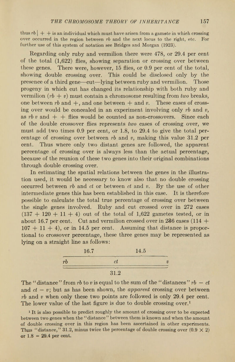 thus rb I + + is an individual which must have arisen from a gamete in which crossing over occurred in the region between rb and the next locus to the right, etc. For further use of this system of notation see Bridges and Morgan (1923). Regarding only ruby and vermilion there were 478, or 29.4 per cent of the total (1,622) flies, showing separation or crossing over between these genes. There were, however, 15 flies, or 0.9 per cent of the total, showing double crossing over. This could be disclosed only by the presence of a third gene—cut—lying between ruby and vermilion. Those progeny in which cut has changed its relationship with both ruby and vermilion (rb + v ) must contain a chromosome resulting from two breaks, one between rb and +, and one between -f- and v. These cases of cross ing over would be concealed in an experiment involving only rb and v, as rb v and -j- + flies would be counted as non-crossovers. Since each of the double crossover flies represents two cases of crossing over, we must add two times 0.9 per cent, or 1.8, to 29.4 to give the total per centage of crossing over between rb and v, making this value 31.2 per cent. Thus where only two distant genes are followed, the apparent percentage of crossing over is always less than the actual percentage, because of the reunion of these two genes into their original combinations through double crossing over. In estimating the spatial relations between the genes in the illustra tion used, it would be necessary to know also that no double crossing occurred between rb and ct or between ct and v. By the use of other intermediate genes this has been established in this case. It is therefore possible to calculate the total true percentage of crossing over between the single genes involved. Ruby and cut crossed over in 272 cases (137 + 120 -f 11 +4) out of the total of 1,622 gametes tested, or in about 16.7 per cent. Cut and vermilion crossed over in 286 cases (114 -f- 107 + 11 + 4), or in 14.5 per cent. Assuming that distance is propor tional to crossover percentage, these three genes may be represented as lying on a straight line as follows: 16.7 14.5 rb ct V 31.2 The distance from rb to v is equal to the sum of the distances rb — ct and ct — v; but as has been shown, the apparent crossing over between rb and v when only these two points are followed is only 29.4 per cent. The lower value of the last figure is due to double crossing over. 1 1 It is also possible to predict roughly the amount of crossing over to be expected between two genes when the distance between them is known and when the amount of double crossing over in this region has been ascertained in other experiments. Thus distance, 31.2, minus twice the percentage of double crossing over (0.9 X 2) or 1.8 = 29.4 per cent.