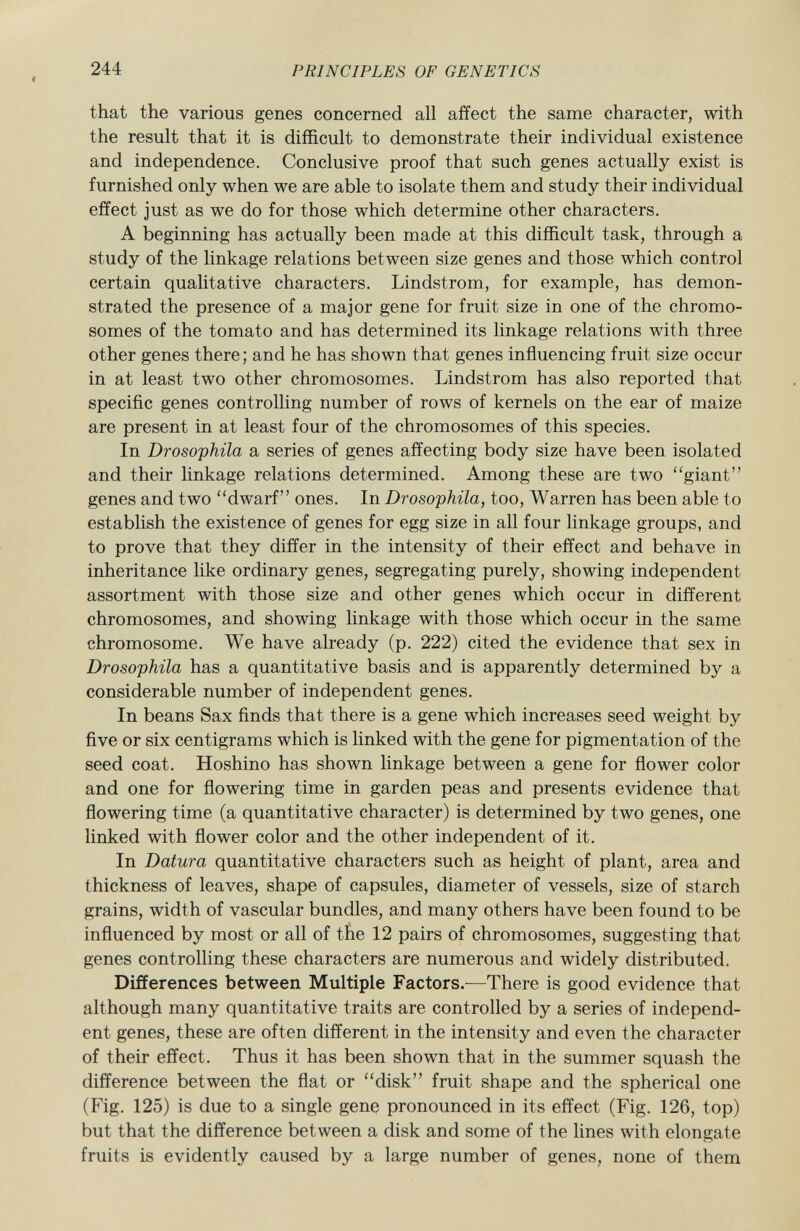 244 f PRINCIPLES OF GENETICS that the various genes concerned all affect the same character, with the result that it is difficult to demonstrate their individual existence and independence. Conclusive proof that such genes actually exist is furnished only when we are able to isolate them and study their individual effect just as we do for those which determine other characters. A beginning has actually been made at this difficult task, through a study of the linkage relations between size genes and those which control certain qualitative characters. Lindstrom, for example, has demon strated the presence of a major gene for fruit size in one of the chromo somes of the tomato and has determined its linkage relations with three other genes there; and he has shown that genes influencing fruit size occur in at least two other chromosomes. Lindstrom has also reported that specific genes controlling number of rows of kernels on the ear of maize are present in at least four of the chromosomes of this species. In Drosophila a series of genes affecting body size have been isolated and their linkage relations determined. Among these are two giant genes and two dwarf ones. In Drosophila, too, Warren has been able to establish the existence of genes for egg size in all four linkage groups, and to prove that they differ in the intensity of their effect and behave in inheritance like ordinary genes, segregating purely, showing independent assortment with those size and other genes which occur in different chromosomes, and showing linkage with those which occur in the same chromosome. We have already (p. 222) cited the evidence that sex in Drosophila has a quantitative basis and is apparently determined by a considerable number of independent genes. In beans Sax finds that there is a gene which increases seed weight by five or six centigrams which is linked with the gene for pigmentation of the seed coat. Hoshino has shown linkage between a gene for flower color and one for flowering time in garden peas and presents evidence that flowering time (a quantitative character) is determined by two genes, one linked with flower color and the other independent of it. In Datura quantitative characters such as height of plant, area and thickness of leaves, shape of capsules, diameter of vessels, size of starch grains, width of vascular bundles, and many others have been found to be influenced by most or all of the 12 pairs of chromosomes, suggesting that genes controlling these characters are numerous and widely distributed. Differences between Multiple Factors. —There is good evidence that although many quantitative traits are controlled by a series of independ ent genes, these are often different in the intensity and even the character of their effect. Thus it has been shown that in the summer squash the difference between the flat or disk fruit shape and the spherical one (Fig. 125) is due to a single gene pronounced in its effect (Fig. 126, top) but that the difference between a disk and some of the lines with elongate fruits is evidently caused by a large number of genes, none of them