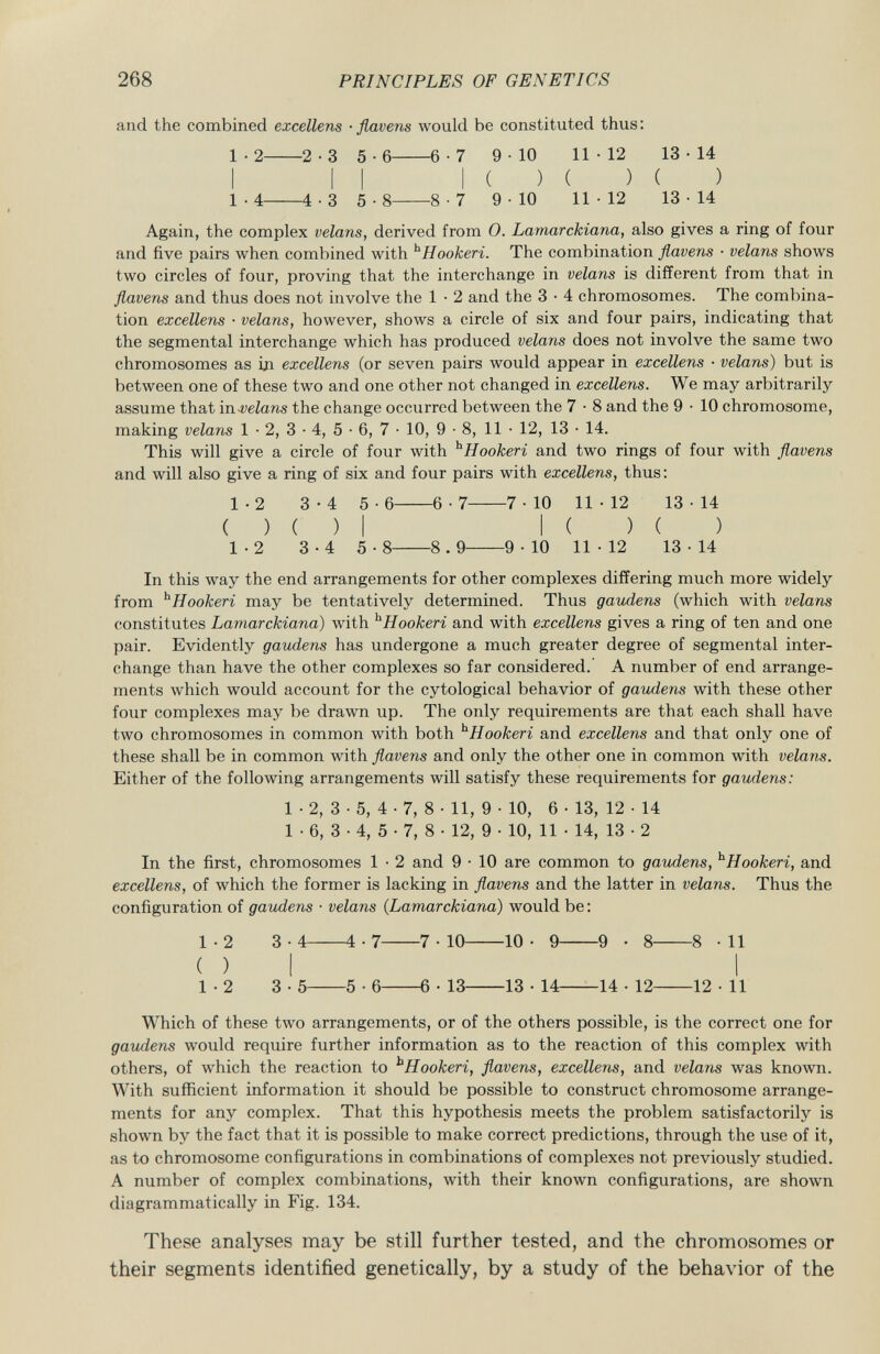 and the combined excellens ■ flavens would be constituted thus: 1 • 2 2 -3 5 • 6 6 -7 9-10 11 • 12 13-14 I II I ( ) ( ) ( ) 1-4 4-3 5-8 8-7 9-10 11-12 13-14 Again, the complex velans, derived from 0. Lamarckiana, also gives a ring of four and five pairs when combined with h Hookeri. The combination flavens • velans shows two circles of four, proving that the interchange in velans is different from that in flavens and thus does not involve the 1 • 2 and the 3 • 4 chromosomes. The combina tion excellens • velans, however, shows a circle of six and four pairs, indicating that the segmental interchange which has produced velans does not involve the same two chromosomes as iji excellens (or seven pairs would appear in excellens ■ velans) but is between one of these two and one other not changed in excellens. We may arbitrarily assume that in velans the change occurred between the 7 • 8 and the 9 • 10 chromosome, making velans 1 • 2, 3 • 4, 5 • 6, 7 • 10, 9 • 8, 11 • 12, 13 • 14. This will give a circle of four with h Hookeri and two rings of four with flavens and will also give a ring of six and four pairs with excellens, thus: 1-2 3-4 5-6 6-7 7-10 11-12 13-14 ( ) ( ) I I ( ) ( ) 1-2 3-4 5 • 8 8 . 9 9 -10 11 • 12 13 • 14 In this way the end arrangements for other complexes differing much more widely from h Hookeri may be tentatively determined. Thus gaudens (which with velans constitutes Lamarckiana) with h Hookeri and with excellens gives a ring of ten and one pair. Evidently gaudens has undergone a much greater degree of segmental inter change than have the other complexes so far considered. A number of end arrange ments which would account for the cytological behavior of gaudens with these other four complexes may be drawn up. The only requirements are that each shall have two chromosomes in common with both h Hookeri and excellens and that only one of these shall be in common with flavens and only the other one in common with velans. Either of the following arrangements will satisfy these requirements for gaudens: 1 • 2, 3 • 5, 4 • 7, 8 • 11, 9 • 10, 6 • 13, 12 • 14 1 • 6, 3 • 4, 5 • 7, 8 • 12, 9 • 10, 11 • 14, 13 • 2 In the first, chromosomes 1 • 2 and 9 • 10 are common to gaudens, h Hookeri, and excellens, of which the former is lacking in flavens and the latter in velans. Thus the configuration of gaudens • velans (Lamarckiana) would be: 1-2 3-4 4-7—7-10 10- 9 9 • 8 8 -11 ( ) I I 1-2 3 • 5 5 6 6 • 13 13 ■ 14 14 ■ 12 12 ■ 11 Which of these two arrangements, or of the others possible, is the correct one for gaudens would require further information as to the reaction of this complex with others, of which the reaction to h Hookeri, flavens, excellens, and velans was known. With sufficient information it should be possible to construct chromosome arrange ments for any complex. That this hypothesis meets the problem satisfactorily is shown by the fact that it is possible to make correct predictions, through the use of it, as to chromosome configurations in combinations of complexes not previously studied. A number of complex combinations, with their known configurations, are shown diagrammatically in Fig. 134. These analyses may be still further tested, and the chromosomes or their segments identified genetically, by a study of the behavior of the