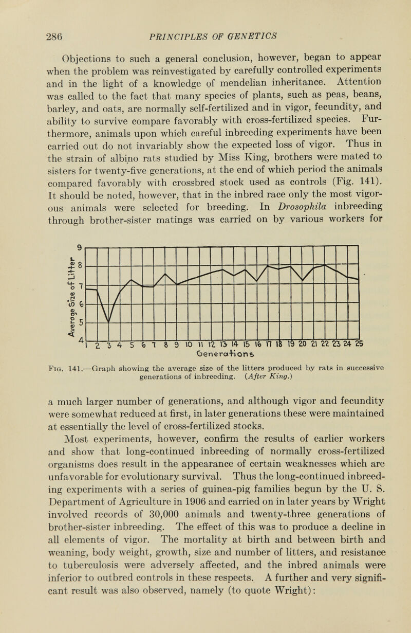 Objections to such a general conclusion, however, began to appear when the problem was reinvestigated by carefully controlled experiments and in the light of a knowledge of mendelian inheritance. Attention was called to the fact that many species of plants, such as peas, beans, barley, and oats, are normally self-fertilized and in vigor, fecundity, and ability to survive compare favorably with cross-fertilized species. Fur thermore, animals upon which careful inbreeding experiments have been carried out do not invariably show the expected loss of vigor. Thus in the strain of albino rats studied by Miss King, brothers were mated to sisters for twenty-five generations, at the end of which period the animals compared favorably with crossbred stock used as controls (Fig. 141). It should be noted, however, that in the inbred race only the most vigor ous animals were selected for breeding. In Drosophila inbreeding through brother-sister matings was carried on by various workers for (benercn+ions Fig . 141.—Graph showing the average size of the litters produced by rats in successive generations of inbreeding. ( After King.) a much larger number of generations, and although vigor and fecundity were somewhat reduced at first, in later generations these were maintained at essentially the level of cross-fertilized stocks. Most experiments, however, confirm the results of earlier workers and show that long-continued inbreeding of normally cross-fertilized organisms does result in the appearance of certain weaknesses which are unfavorable for evolutionary survival. Thus the long-continued inbreed ing experiments with a series of guinea-pig families begun by the U. S. Department of Agriculture in 1906 and carried on in later years by Wright involved records of 30,000 animals and twenty-three generations of brother-sister inbreeding. The effect of this was to produce a decline in all elements of vigor. The mortality at birth and between birth and weaning, body weight, growth, size and number of litters, and resistance to tuberculosis were adversely affected, and the inbred animals were inferior to outbred controls in these respects. A further and very signifi cant result was also observed, namely (to quote Wright) :
