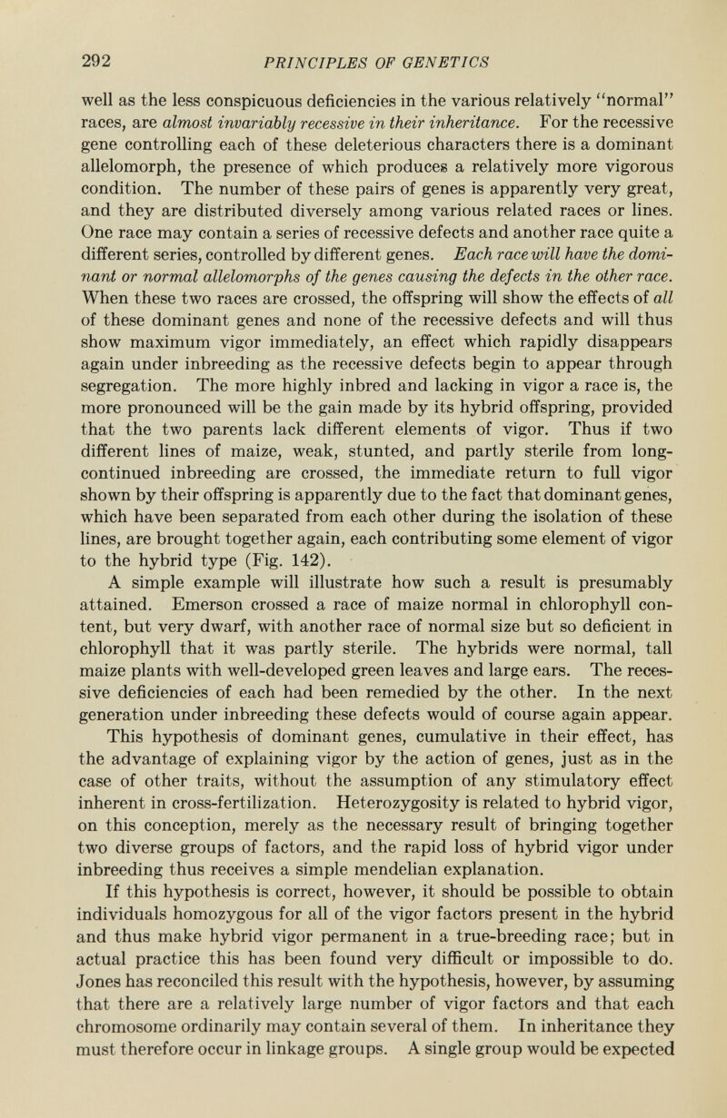 well as the less conspicuous deficiencies in the various relatively normal races, are almost invariably recessive in their inheritance. For the recessive gene controlling each of these deleterious characters there is a dominant allelomorph, the presence of which produces a relatively more vigorous condition. The number of these pairs of genes is apparently very great, and they are distributed diversely among various related races or lines. One race may contain a series of recessive defects and another race quite a different series, controlled by different genes. Each race will have the domi nant or normal allelomorphs of the genes causing the defects in the other race. When these two races are crossed, the offspring will show the effects of all of these dominant genes and none of the recessive defects and will thus show maximum vigor immediately, an effect which rapidly disappears again under inbreeding as the recessive defects begin to appear through segregation. The more highly inbred and lacking in vigor a race is, the more pronounced will be the gain made by its hybrid offspring, provided that the two parents lack different elements of vigor. Thus if two different lines of maize, weak, stunted, and partly sterile from long- continued inbreeding are crossed, the immediate return to full vigor shown by their offspring is apparently due to the fact that dominant genes, which have been separated from each other during the isolation of these lines, are brought together again, each contributing some element of vigor to the hybrid type (Fig. 142). A simple example will illustrate how such a result is presumably attained. Emerson crossed a race of maize normal in chlorophyll con tent, but very dwarf, with another race of normal size but so deficient in chlorophyll that it was partly sterile. The hybrids were normal, tall maize plants with well-developed green leaves and large ears. The reces sive deficiencies of each had been remedied by the other. In the next generation under inbreeding these defects would of course again appear. This hypothesis of dominant genes, cumulative in their effect, has the advantage of explaining vigor by the action of genes, just as in the case of other traits, without the assumption of any stimulatory effect inherent in cross-fertilization. Heterozygosity is related to hybrid vigor, on this conception, merely as the necessary result of bringing together two diverse groups of factors, and the rapid loss of hybrid vigor under inbreeding thus receives a simple mendelian explanation. If this hypothesis is correct, however, it should be possible to obtain individuals homozygous for all of the vigor factors present in the hybrid and thus make hybrid vigor permanent in a true-breeding race; but in actual practice this has been found very difficult or impossible to do. Jones has reconciled this result with the hypothesis, however, by assuming that there are a relatively large number of vigor factors and that each chromosome ordinarily may contain several of them. In inheritance they must therefore occur in linkage groups. A single group would be expected