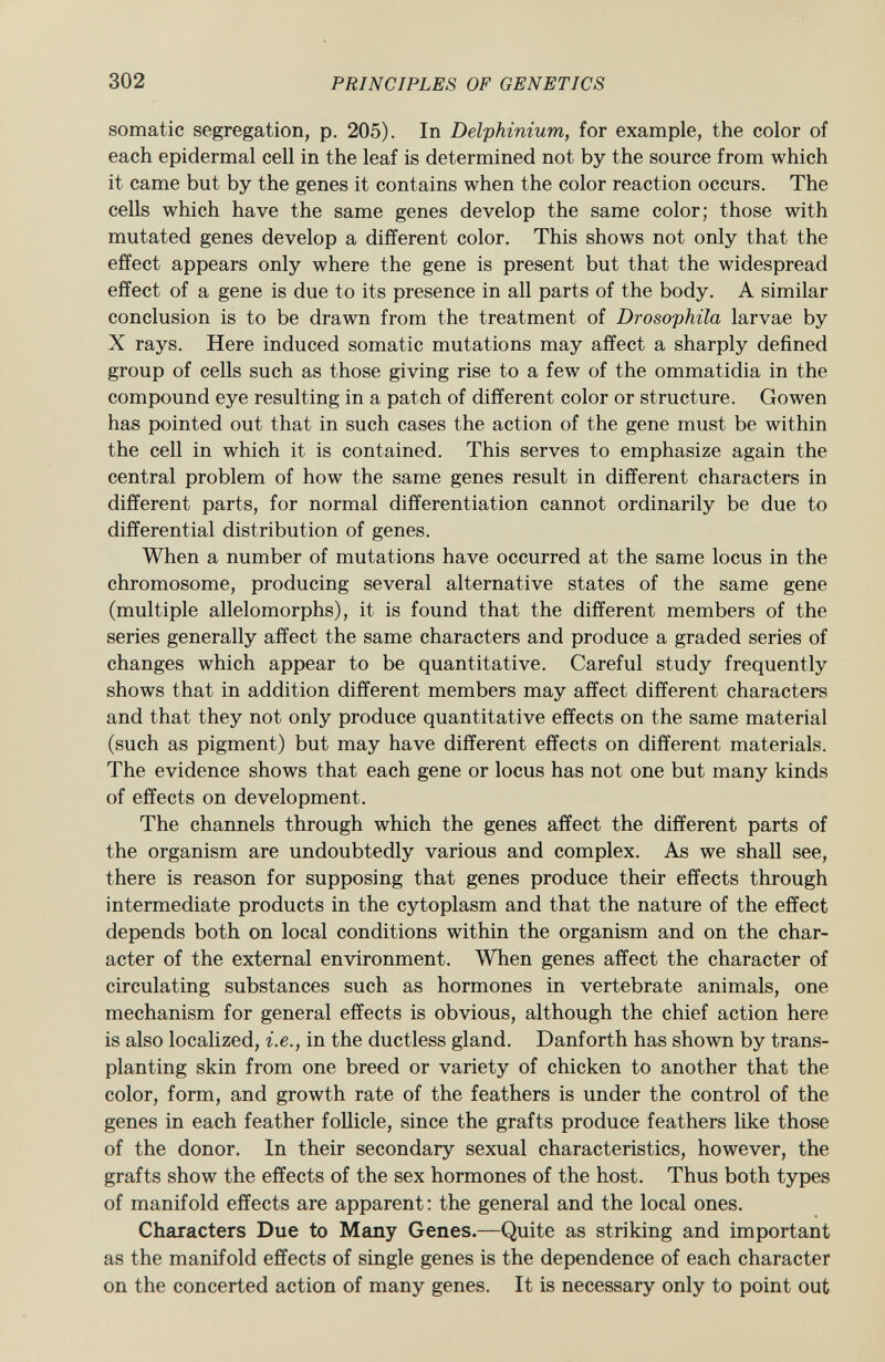 somatic segregation, p. 205). In Delphinium , for example, the color of each epidermal cell in the leaf is determined not by the source from which it came but by the genes it contains when the color reaction occurs. The cells which have the same genes develop the same color; those with mutated genes develop a different color. This shows not only that the effect appears only where the gene is present but that the widespread effect of a gene is due to its presence in all parts of the body. A similar conclusion is to be drawn from the treatment of Drosophila larvae by X rays. Here induced somatic mutations may affect a sharply defined group of cells such as those giving rise to a few of the ommatidia in the compound eye resulting in a patch of different color or structure. Gowen has pointed out that in such cases the action of the gene must be within the cell in which it is contained. This serves to emphasize again the central problem of how the same genes result in different characters in different parts, for normal differentiation cannot ordinarily be due to differential distribution of genes. When a number of mutations have occurred at the same locus in the chromosome, producing several alternative states of the same gene (multiple allelomorphs), it is found that the different members of the series generally affect the same characters and produce a graded series of changes which appear to be quantitative. Careful study frequently shows that in addition different members may affect different characters and that they not only produce quantitative effects on the same material (such as pigment) but may have different effects on different materials. The evidence shows that each gene or locus has not one but many kinds of effects on development. The channels through which the genes affect the different parts of the organism are undoubtedly various and complex. As we shall see, there is reason for supposing that genes produce their effects through intermediate products in the cytoplasm and that the nature of the effect depends both on local conditions within the organism and on the char acter of the external environment. When genes affect the character of circulating substances such as hormones in vertebrate animals, one mechanism for general effects is obvious, although the chief action here is also localized, i.e., in the ductless gland. Danforth has shown by trans planting skin from one breed or variety of chicken to another that the color, form, and growth rate of the feathers is under the control of the genes in each feather follicle, since the grafts produce feathers like those of the donor. In their secondary sexual characteristics, however, the grafts show the effects of the sex hormones of the host. Thus both types of manifold effects are apparent: the general and the local ones. Characters Due to Many Genes. —Quite as striking and important as the manifold effects of single genes is the dependence of each character on the concerted action of many genes. It is necessary only to point out