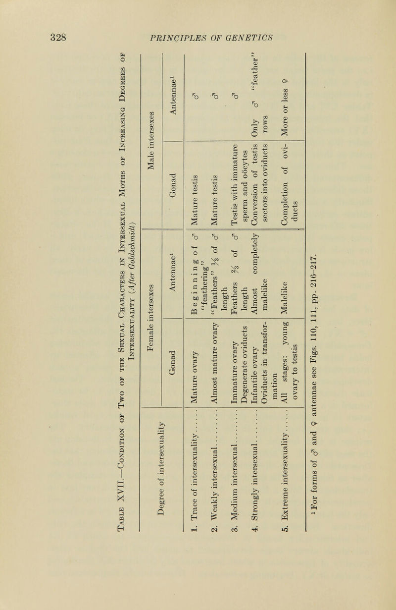 co to oo Table XVII.—Condition of Two op the Sexual Characters in Intersexual Moths of Increasing Degrees of Intersexuality ( After Goldschmidt) Degree of intersexuality Female intersexes Male intersexes Gonad Antennae 1 Gonad Antennae 1 1. Trace of intersexuality Mature ovary Beginning of cT Mature testis c? feathering 2. Weakly intersexual Almost mature ovary Feathers of d 1 Mature testis c? length 3. Medium intersexual Immature ovary Feathers % of c? Testis with immature c? Degenerate oviducts length sperm and oocytes 4. Strongly intersexual Infantile ovary Almost completely Conversion of testis Only c? feather Oviducts in transfor malelike sectors into oviducts rows mation 5. Extreme intersexuality All stages: young Malelike Completion of ovi More or less $ ovary to testis ducts O •—i ? fcq Co o 05 Cq o Co 1 For forms of c? and Ç antennae see Figs. 110, 111, pp. 216-217.