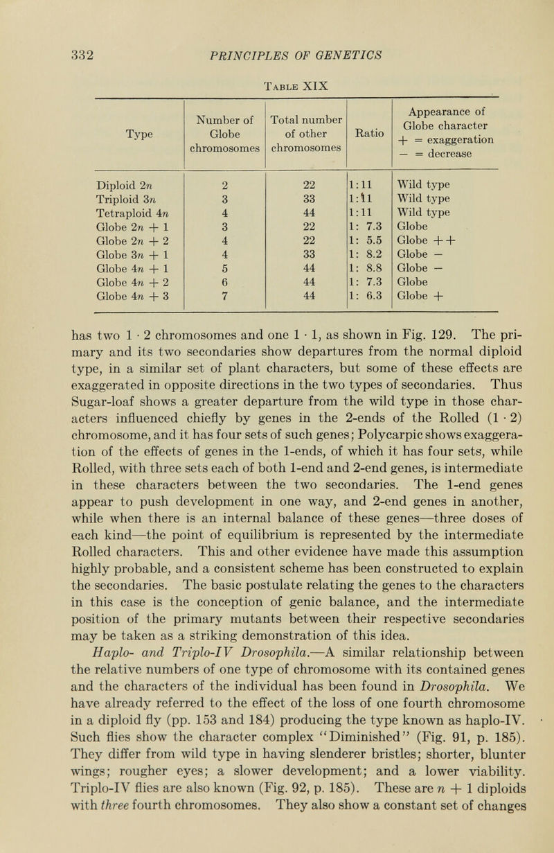 Table XIX Type Number of Globe chromosomes Total number of other chromosomes Ratio Appearance of Globe character + = exaggeration — = decrease Diploid 2 n 2 22 1 11 Wild type Triploid 3 n 3 33 1 il Wild type Tetraploid 4 n 4 44 1 11 Wild type Globe 2n + 1 3 22 1 7.3 Globe Globe 2n + 2 4 22 1 5.5 Globe -|—b Globe Sn + 1 4 33 1 8.2 Globe - Globe 4n + 1 5 44 1 8.8 Globe - Globe 4n + 2 6 44 1 7.3 Globe Globe 4n + 3 7 44 1 6.3 Globe + has two 1 • 2 chromosomes and one 1 • 1, as shown in Fig. 129. The pri mary and its two secondaries show departures from the normal diploid type, in a similar set of plant characters, but some of these effects are exaggerated in opposite directions in the two types of secondaries. Thus Sugar-loaf shows a greater departure from the wild type in those char acters influenced chiefly by genes in the 2-ends of the Rolled (1-2) chromosome, and it has four sets of such genes; Polycarpic shows exaggera tion of the effects of genes in the 1-ends, of which it has four sets, while Rolled, with three sets each of both 1-end and 2-end genes, is intermediate in these characters between the two secondaries. The 1-end genes appear to push development in one way, and 2-end genes in another, while when there is an internal balance of these genes—three doses of each kind—the point of equilibrium is represented by the intermediate Rolled characters. This and other evidence have made this assumption highly probable, and a consistent scheme has been constructed to explain the secondaries. The basic postulate relating the genes to the characters in this case is the conception of genie balance, and the intermediate position of the primary mutants between their respective secondaries may be taken as a striking demonstration of this idea. Haplo- and Triplo-IV Drosophila. —A similar relationship between the relative numbers of one type of chromosome with its contained genes and the characters of the individual has been found in Drosophila. We have already referred to the effect of the loss of one fourth chromosome in a diploid fly (pp. 153 and 184) producing the type known as haplo-IV. Such flies show the character complex Diminished (Fig. 91, p. 185). They differ from wild type in having slenderer bristles; shorter, blunter wings; rougher eyes; a slower development; and a lower viability. Triplo-IV flies are also known (Fig. 92, p. 185). These are n + 1 diploids with three fourth chromosomes. They also show a constant set of changes