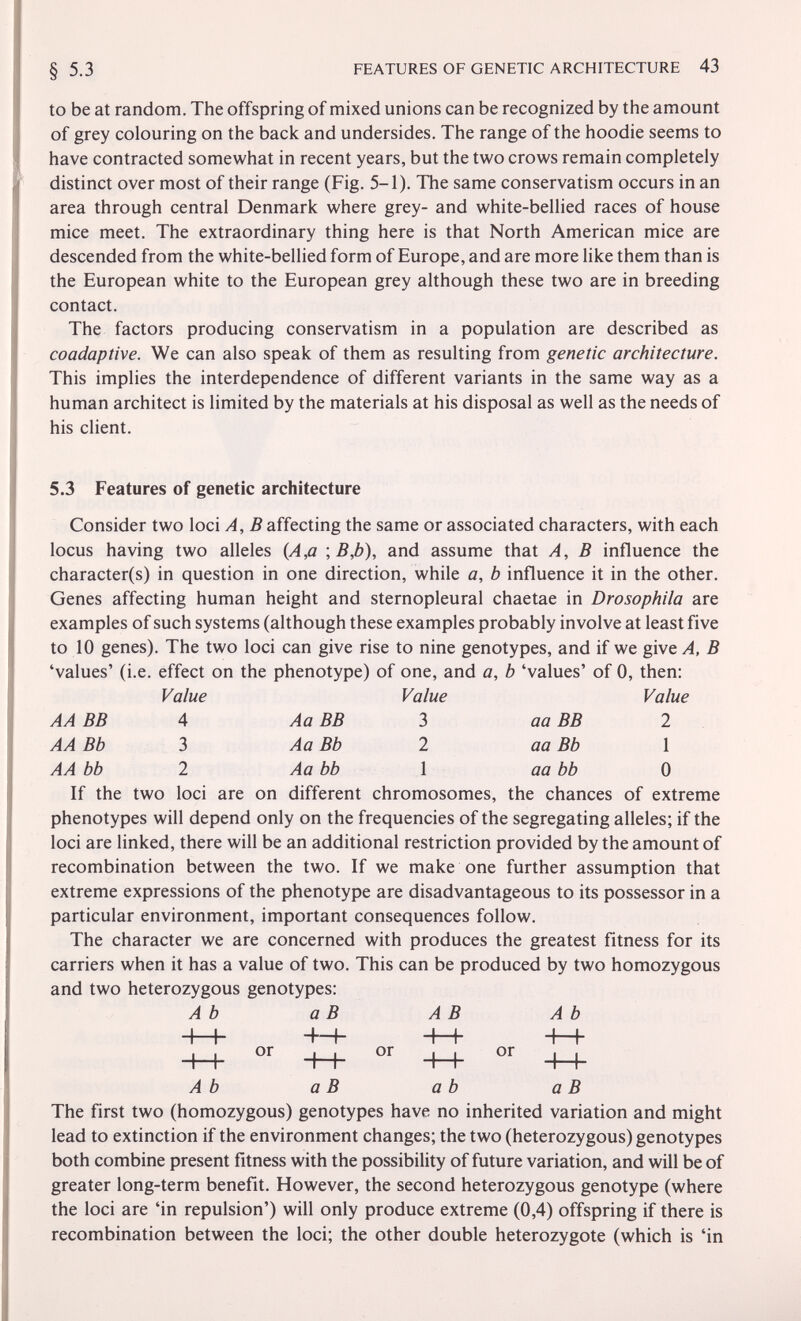 FEATURES OF GENETIC ARCHITECTURE 43 to be at random. The offspring of mixed unions can be recognized by the amount of grey colouring on the back and undersides. The range of the hoodie seems to have contracted somewhat in recent years, but the two crows remain completely distinct over most of their range (Fig. 5-1). The same conservatism occurs in an area through central Denmark where grey- and white-bellied races of house mice meet. The extraordinary thing here is that North American mice are descended from the white-bellied form of Europe, and are more like them than is the European white to the European grey although these two are in breeding contact. The factors producing conservatism in a population are described as coadaptive. We can also speak of them as resulting from genetic architecture. This implies the interdependence of different variants in the same way as a human architect is limited by the materials at his disposal as well as the needs of his client. 5.3 Features of genetic architecture Consider two loci A, В affecting the same or associated characters, with each locus having two alleles {A,a and assume that A, В influence the character(s) in question in one direction, while a, b influence it in the other. Genes affecting human height and sternopleural chaetae in Drosophila are examples of such systems (although these examples probably involve at least five to 10 genes). The two loci can give rise to nine genotypes, and if we give A, В 'values' (i.e. effect on the phenotype) of one, and a, b 'values' of 0, then: Value Value Value AA BB 4 Aa BB 3 aa BB 2 AA Bb 3 Aa Bb 2 aa Bb 1 AA bb 2 Aa bb 1 aa bb 0 If the two loci are on different chromosomes, the chances of extreme phenotypes will depend only on the frequencies of the segregating alleles; if the loci are linked, there will be an additional restriction provided by the amount of recombination between the two. If we make one further assumption that extreme expressions of the phenotype are disadvantageous to its possessor in a particular environment, important consequences follow. The character we are concerned with produces the greatest fitness for its carriers when it has a value of two. This can be produced by two homozygous and two heterozygous genotypes: Ab a В AB Ab -h-b H-h -h-b -h-h A b a в ab a В The first two (homozygous) genotypes have no inherited variation and might lead to extinction if the environment changes; the two (heterozygous) genotypes both combine present fitness with the possibility of future variation, and will be of greater long-term benefit. However, the second heterozygous genotype (where the loci are 'in repulsion') will only produce extreme (0,4) offspring if there is recombination between the loci; the other double heterozygote (which is 'in