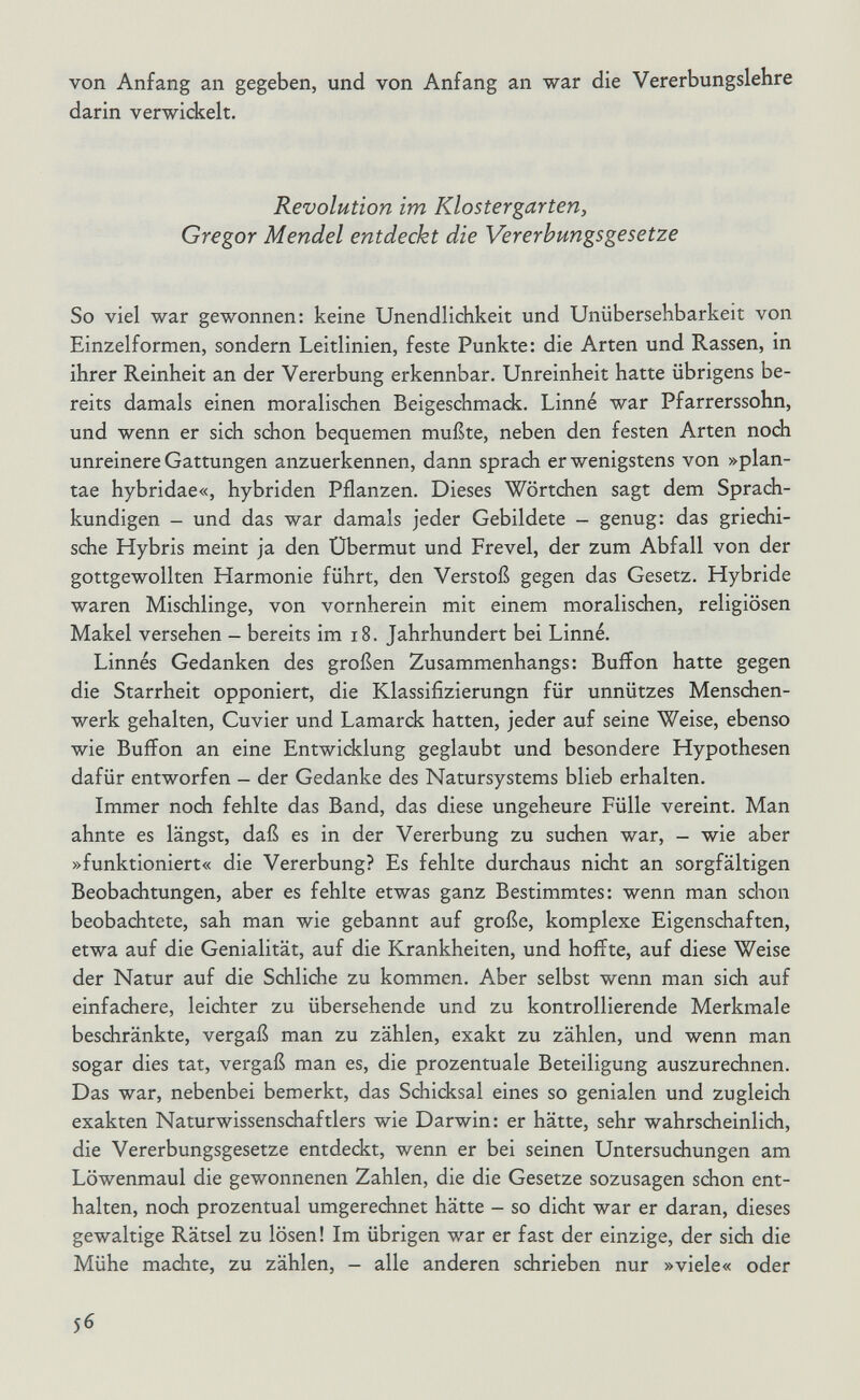 von Anfang an gegeben, und von Anfang an war die Vererbungslehre darin verwickelt. Revolution im Klostergarten, Gregor Mendel entdeckt die Vererbungsgesetze So viel war gewonnen: keine Unendlichkeit und Unübersehbarkeit von Einzelformen, sondern Leitlinien, feste Punkte: die Arten und Rassen, in ihrer Reinheit an der Vererbung erkennbar. Unreinheit hatte übrigens be¬ reits damals einen moralischen Beigeschmadk. Linné war Pfarrerssohn, und wenn er sich schon bequemen mußte, neben den festen Arten noch unreinere Gattungen anzuerkennen, dann sprach er wenigstens von »plan- tae hybridae«, hybriden Pflanzen. Dieses Wörtchen sagt dem Sprach¬ kundigen - und das war damals jeder Gebildete - genug: das griechi¬ sche Hybris meint ja den Übermut und Frevel, der zum Abfall von der gottgewollten Harmonie führt, den Verstoß gegen das Gesetz. Hybride waren Mischlinge, von vornherein mit einem moralischen, religiösen Makel versehen - bereits im i8. Jahrhundert bei Linné. Linnés Gedanken des großen Zusammenhangs: Buffon hatte gegen die Starrheit opponiert, die Klassifizierungn für unnützes Menschen¬ werk gehalten, Cuvier und Lamarck hatten, jeder auf seine Weise, ebenso wie Buffon an eine Entwicklung geglaubt und besondere Hypothesen dafür entworfen - der Gedanke des Natursystems blieb erhalten. Immer noch fehlte das Band, das diese ungeheure Fülle vereint. Man ahnte es längst, daß es in der Vererbung zu suchen war, - wie aber »funktioniert« die Vererbung? Es fehlte durchaus nicht an sorgfältigen Beobachtungen, aber es fehlte etwas ganz Bestimmtes: wenn man schon beobachtete, sah man wie gebannt auf große, komplexe Eigenschaften, etwa auf die Genialität, auf die Krankheiten, und hoffte, auf diese Weise der Natur auf die Schliche zu kommen. Aber selbst wenn man sich auf einfachere, leichter zu übersehende und zu kontrollierende Merkmale beschränkte, vergaß man zu zählen, exakt zu zählen, und wenn man sogar dies tat, vergaß man es, die prozentuale Beteiligung auszurechnen. Das war, nebenbei bemerkt, das Schicksal eines so genialen und zugleich exakten Naturwissenschaftlers wie Darwin: er hätte, sehr wahrscheinlich, die Vererbungsgesetze entdeckt, wenn er bei seinen Untersuchungen am Löwenmaul die gewonnenen Zahlen, die die Gesetze sozusagen schon ent¬ halten, noch prozentual umgeredhmet hätte - so dicht war er daran, dieses gewaltige Rätsel zu lösen! Im übrigen war er fast der einzige, der sich die Mühe madite, zu zählen, - alle anderen schrieben nur »viele« oder 56