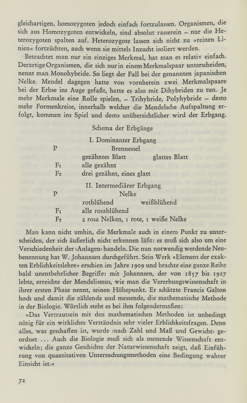 gleichartigen, homozygoten jedoch einfach fortzulassen. Organismen, die sich aus Homozygoten entwickeln, sind absolut rasserein - nur die He¬ terozygoten spalten auf. Heterozygote lassen sich nicht zu »reinen Li¬ nien« fortzüchten, auch wenn sie mittels Inzucht isoliert werden. Betrachtet man nur ein einziges Merkmal, hat man es relativ einfach. Derartige Organismen, die sich nur in einem Merkmalspaar unterscheiden, nennt man Monohybride. So liegt der Fall bei der genannten japanischen Nelke. Mendel dagegen hatte von vornherein zwei Merkmalspaare bei der Erbse ins Auge gefaßt, hatte es also mit Dihybriden zu tun. Je mehr Merkmale eine Rolle spielen, - Trihybride, Polyhybride - desto mehr Formenkreise, innerhalb welcher die Mendelsche Aufspaltung er¬ folgt, kommen ins Spiel und desto unübersichtlicher wird der Erbgang. Schema der Erbgänge I. Dominanter Erbgang P Brennessel gezähntes Blatt glattes Blatt Fl alle gezähnt F2 drei gezähnt, eines glatt II. Intermediärer Erbgang P Nelke rotblühend weißblühend Fl alle rosablühend F2 г rosa Nelken, i rote, i weiße Nelke Man kann nicht umhin, die Merkmale auch in einem Punkt zu unter¬ scheiden, der sich äußerlich nicht erkennen läßt: es muß sich also um eine Verschiedenheit der >Anlagen< handeln. Die nun notwendig werdende Neu¬ benennung hat W. Johannsen durchgeführt. Sein Werk »Element der exak¬ ten Erblichkeitslehre« erschien im Jahre 1909 und brachte eine ganze Reihe bald unentbehrlicher Begriffe: mit Johannsen, der von 1857 bis 1927 lebte, erreichte der Mendelismus, wie man die VererbungsWissenschaft in ihrer ersten Phase nennt, seinen Höhepunkt. Er schätzte Francis Galton hoch und damit die zählende und messende, die mathematische Methode in der Biologie. Wörtlich steht es bei ihm folgendermaßen: »Das Vertrautsein mit den mathematischen Methoden ist unbedingt nötig für ein wirkliches Verständnis sehr vieler Erblichkeitsfragen. Denn alles, was geschaffen ist, wurde >nach Zahl und Maß und Gewicht< ge¬ ordnet ... Auch die Biologie muß sich als messende Wissenschaft ent¬ wickeln; die ganze Geschichte der Naturwissenschaft zeigt, daß Einfüh¬ rung von quantitativen Untersudiungsmethoden eine Bedingung wahrer Einsicht ist.« 7^