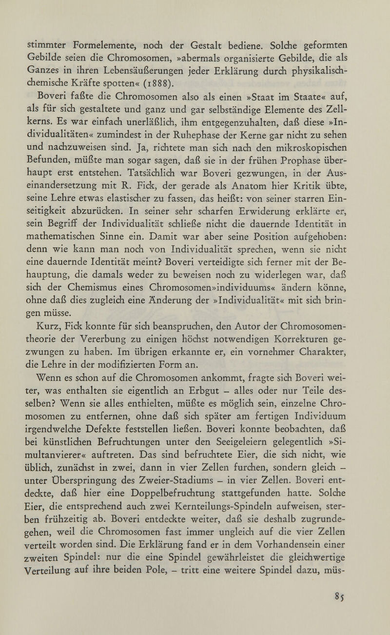 stimmter Formelemente, noch der Gestalt bediene. Solche geformten Gebilde seien die Chromosomen, »abermals organisierte Gebilde, die als Ganzes in ihren Lebensäußerungen jeder Erklärung durch physikalisch¬ chemische Kräfte spotten« (1888). Boveri faßte die Chromosomen also als einen »Staat im Staate« auf, als für sich gestaltete und ganz und gar selbständige Elemente des Zell¬ kerns. Es war einfach unerläßlich, ihm entgegenzuhalten, daß diese »In¬ dividualitäten« zumindest in der Ruhephase der Kerne gar nicht zu sehen und nachzuweisen sind. Ja, richtete man sich nach den mikroskopischen Befunden, müßte man sogar sagen, daß sie in der frühen Prophase über¬ haupt erst entstehen. Tatsächlich war Boveri gezwungen, in der Aus¬ einandersetzung mit R. Eick, der gerade als Anatom hier Kritik übte, seine Lehre etwas elastischer zu fassen, das heißt: von seiner starren Ein¬ seitigkeit abzurücken. In seiner sehr scharfen Erwiderung erklärte er, sein Begriff der Individualität schließe nicht die dauernde Identität in mathematischen Sinne ein. Damit war aber seine Position aufgehoben: denn wie kann man noch von Individualität sprechen, wenn sie nicht eine dauernde Identität meint? Boveri verteidigte sich ferner mit der Be¬ hauptung, die damals weder zu beweisen noch zu widerlegen war, daß sich der Chemismus eines Chromosomen»individuums« ändern könne, ohne daß dies zugleidi eine Änderung der »Individualität« mit sich brin¬ gen müsse. Kurz, Eick konnte für sich beanspruchen, den Autor der Chromosomen¬ theorie der Vererbung zu einigen höchst notwendigen Korrekturen ge¬ zwungen zu haben. Im übrigen erkannte er, ein vornehmer Charakter, die Lehre in der modifizierten Form an. Wenn es schon auf die Chromosomen ankommt, fragte sich Boveri wei¬ ter, was enthalten sie eigentlich an Erbgut - alles oder nur Teile des¬ selben? Wenn sie alles enthielten, müßte es möglich sein, einzelne Chro¬ mosomen zu entfernen, ohne daß sich später am fertigen Individuum irgendwelche Defekte feststellen ließen. Boveri konnte beobachten, daß bei künstlichen Befruchtungen unter den Seeigel eiern gelegentlich »Si¬ multanvierer« auftreten. Das sind befruchtete Eier, die sich nicht, wie üblich, zunächst in zwei, dann in vier Zellen furchen, sondern gleich - unter Überspringung des Zweier-Stadiums - in vier Zellen. Boveri ent¬ deckte, daß hier eine Doppelbefruchtung stattgefunden hatte. Solche Eier, die entsprechend auch zwei Kernteilungs-Spindeln aufweisen, ster¬ ben frühzeitig ab. Boveri entdeckte weiter, daß sie deshalb zugrunde¬ gehen, weil die Chromosomen fast immer ungleich auf die vier Zellen verteilt worden sind. Die Erklärung fand er in dem Vorhandensein einer zweiten Spindel: nur die eine Spindel gewährleistet die gleichwertige Verteilung auf ihre beiden Pole, - tritt eine weitere Spindel dazu, müs- 85