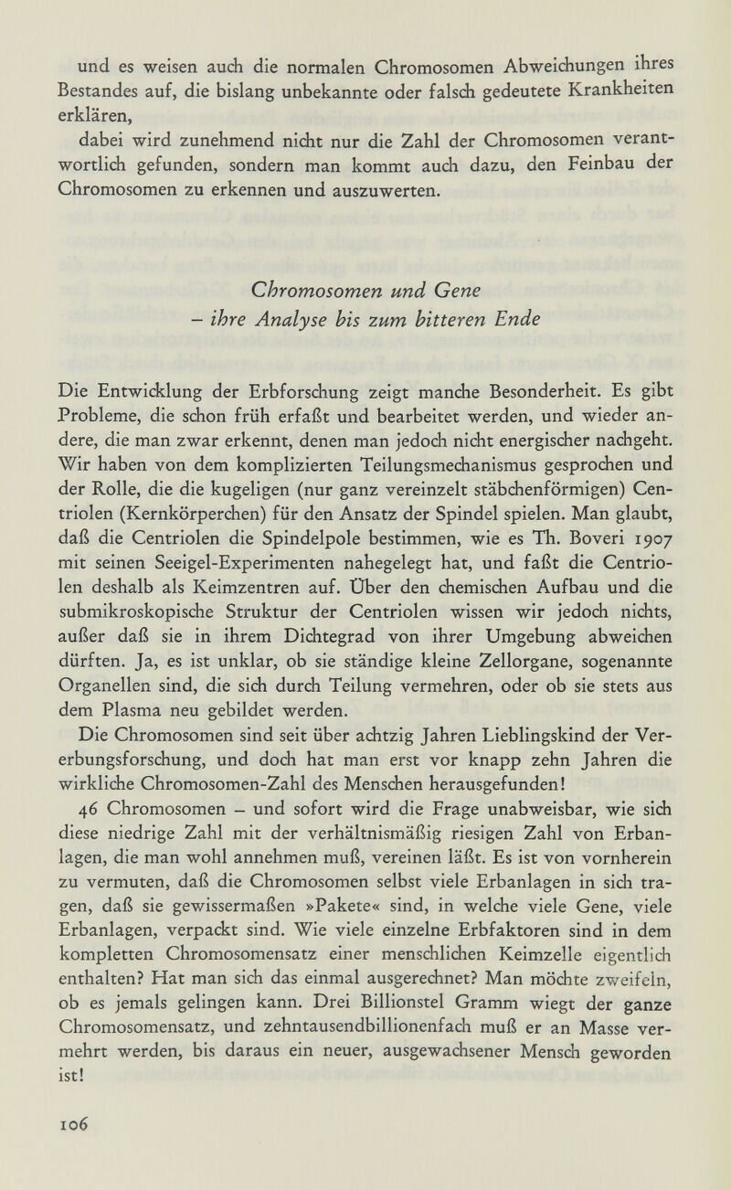 und es weisen auch die normalen Chromosomen Abweichungen ihres Bestandes auf, die bislang unbekannte oder falsch gedeutete Krankheiten erklären, dabei wird zunehmend nicht nur die Zahl der Chromosomen verant¬ wortlich gefunden, sondern man kommt auch dazu, den Feinbau der Chromosomen zu erkennen und auszuwerten. Chromosomen und Gene — ihre Analyse his zum bitteren Ende Die Entwidmung der Erbforschung zeigt manche Besonderheit. Es gibt Probleme, die schon früh erfaßt und bearbeitet werden, und wieder an¬ dere, die man zwar erkennt, denen man jedoch nicht energisdier nachgeht. Wir haben von dem komplizierten Teilungsmechanismus gesprochen und der Rolle, die die kugeligen (nur ganz vereinzelt stäbchenförmigen) Cen- triolen (Kernkörperchen) für den Ansatz der Spindel spielen. Man glaubt, daß die Centriolen die Spindelpole bestimmen, wie es Th. Boveri 1907 mit seinen Seeigel-Experimenten nahegelegt hat, und faßt die Centrio¬ len deshalb als Keimzentren auf. Über den chemischen Aufbau und die submikroskopische Struktur der Centriolen wissen wir jedoch nichts, außer daß sie in ihrem Dichtegrad von ihrer Umgebung abweidien dürften. Ja, es ist unklar, ob sie ständige kleine Zellorgane, sogenannte Organellen sind, die sich durch Teilung vermehren, oder ob sie stets aus dem Plasma neu gebildet werden. Die Chromosomen sind seit über achtzig Jahren Lieblingskind der Ver¬ erbungsforschung, und doch hat man erst vor knapp zehn Jahren die wirkliche Chromosomen-Zahl des Menschen herausgefunden! 46 Chromosomen - und sofort wird die Frage unabweisbar, wie sich diese niedrige Zahl mit der verhältnismäßig riesigen Zahl von Erban¬ lagen, die man wohl annehmen muß, vereinen läßt. Es ist von vornherein zu vermuten, daß die Chromosomen selbst viele Erbanlagen in sich tra¬ gen, daß sie gewissermaßen »Pakete« sind, in welche viele Gene, viele Erbanlagen, verpackt sind. Wie viele einzelne Erbfaktoren sind in dem kompletten Chromosomensatz einer menschlichen Keimzelle eigentlich enthalten? Hat man sich das einmal ausgerechnet? Man möchte zweifeln, ob es jemals gelingen kann. Drei Billionstel Gramm wiegt der ganze Chromosomensatz, und zehntausendbillionenfach muß er an Masse ver¬ mehrt werden, bis daraus ein neuer, ausgewachsener Mensch geworden ist! 106