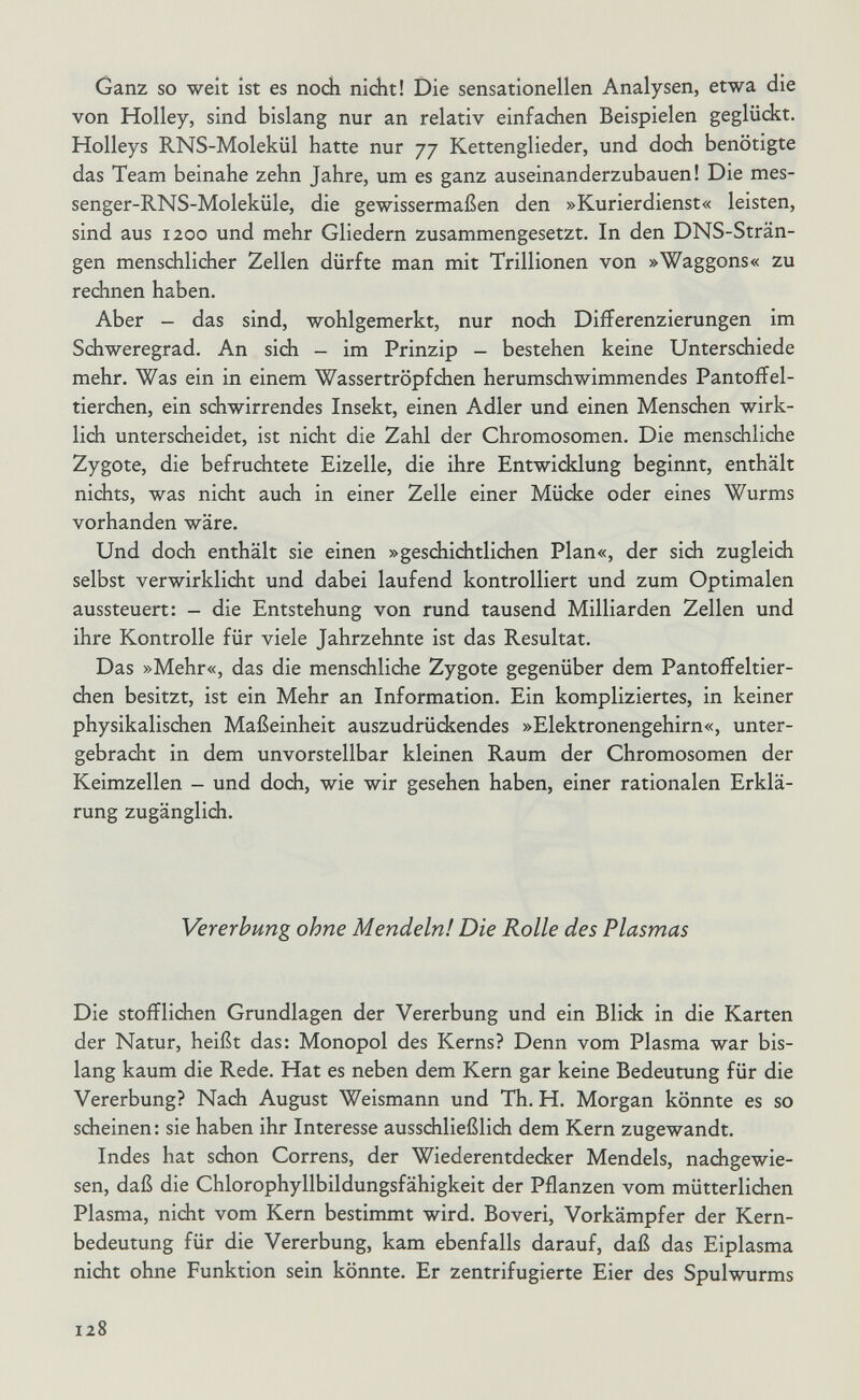 Ganz so weit ist es nodi nicht! Die sensationellen Analysen, etwa die von Holley, sind bislang nur an relativ einfachen Beispielen geglückt. Holleys RNS-Molekül hatte nur 77 Kettenglieder, und doch benötigte das Team beinahe zehn Jahre, um es ganz auseinanderzubauen! Die mes- senger-RNS-Moleküle, die gewissermaßen den »Kurierdienst« leisten, sind aus 1200 und mehr Gliedern zusammengesetzt. In den DNS-Strän¬ gen menschlicher Zellen dürfte man mit Trillionen von »Waggons« zu rechnen haben. Aber - das sind, wohlgemerkt, nur noch Differenzierungen im Sdiweregrad. An sich - im Prinzip - bestehen keine Unterschiede mehr. Was ein in einem Wassertröpfchen herumschwimmendes Pantoffel¬ tierchen, ein schwirrendes Insekt, einen Adler und einen Menschen wirk¬ lich unterscheidet, ist nicht die Zahl der Chromosomen. Die menschliche Zygote, die befruchtete Eizelle, die ihre Entwicklung beginnt, enthält nichts, was nicht auch in einer Zelle einer Mücke oder eines Wurms vorhanden wäre. Und doch enthält sie einen »geschichtlichen Plan«, der sich zugleich selbst verwirklidit und dabei laufend kontrolliert und zum Optimalen aussteuert: - die Entstehung von rund tausend Milliarden Zellen und ihre Kontrolle für viele Jahrzehnte ist das Resultat. Das »Mehr«, das die menschliche Zygote gegenüber dem Pantoffeltier¬ chen besitzt, ist ein Mehr an Information. Ein kompliziertes, in keiner physikalischen Maßeinheit auszudrückendes »Elektronengehirn«, unter¬ gebracht in dem unvorstellbar kleinen Raum der Chromosomen der Keimzellen - und doch, wie wir gesehen haben, einer rationalen Erklä¬ rung zugänglich. Vererbung ohne Mendeln! Die Rolle des Plasmas Die stofflichen Grundlagen der Vererbung und ein Blick in die Karten der Natur, heißt das: Monopol des Kerns? Denn vom Plasma war bis¬ lang kaum die Rede. Hat es neben dem Kern gar keine Bedeutung für die Vererbung? Nach August Weismann und Th. H. Morgan könnte es so scheinen: sie haben ihr Interesse ausschließlich dem Kern zugewandt. Indes hat schon Correns, der Wiederentdecker Mendels, nachgewie¬ sen, daß die Chlorophyllbildungsfähigkeit der Pflanzen vom mütterlichen Plasma, nicht vom Kern bestimmt wird. Boveri, Vorkämpfer der Kern¬ bedeutung für die Vererbung, kam ebenfalls darauf, daß das Eiplasma nicht ohne Funktion sein könnte. Er zentrifugierte Eier des Spulwurms 128