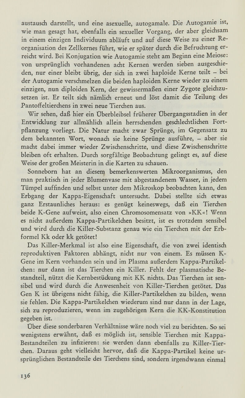 austausdi darstellt, und eine asexuelle, autogamale. Die Autogamie ist, wie man gesagt hat, ebenfalls ein sexueller Vorgang, der aber gleichsam in einem einzigen Individuum abläuft und auf diese Weise zu einer Re¬ organisation des Zellkernes führt, wie er später durch die Befruchtung er¬ reicht wird. Bei Konjugation wie Autogamie steht am Beginn eine Meiose: von ursprünglich vorhandenen acht Kernen werden sieben ausgeschie¬ den, nur einer bleibt übrig, der sich in zwei haploide Kerne teilt - bei der Autogamie verschmelzen die beiden haploiden Kerne wieder zu einem einzigen, nun diploiden Kern, der gewissermaßen einer Zygote gleichzu¬ setzen ist. Er teilt sich nämlich erneut und löst damit die Teilung des Pantoffeltierchens in zwei neue Tierdien aus. Wir sehen, daß hier ein Überbleibsel früherer Übergangsstadien in der Entwicklung zur allmählich allein herrschenden geschlechtlichen Fort¬ pflanzung vorliegt. Die Natur macht zwar Sprünge, im Gegensatz zu dem bekannten Wort, wonach sie keine Sprünge ausführe, - aber sie macht dabei immer wieder Zwischenschritte, und diese Zwischenschritte bleiben oft erhalten. Durch sorgfältige Beobachtung gelingt es, auf diese Weise der großen Meisterin in die Karten zu schauen. Sonneborn hat an diesem bemerkenswerten Mikroorganismus, den man praktisch in jeder Blumenvase mit abgestandenem Wasser, in jedem Tümpel auffinden und selbst unter dem Mikroskop beobachten kann, den Erbgang der Kappa-Eigenschaft untersucht. Dabei stellte sich etwas ganz Erstaunliches heraus: es genügt keineswegs, daß ein Tierchen beide K-Gene aufweist, also einen Chromosomensatz von »KK«! Wenn es nicht außerdem Kappa-Partikelchen besitzt, ist es trotzdem sensibel und wird durch die Killer-Substanz genau wie ein Tierchen mit der Erb¬ formel Kk oder kk getötet! Das Killer-Merkmal ist also eine Eigenschaft, die von zwei identisch reproduktiven Faktoren abhängt, nicht nur von einem. Es müssen K- Gene im Kern vorhanden sein und im Plasma außerdem Kappa-Partikel¬ chen: nur dann ist das Tierchen ein Killer. Fehlt der plasmatische Be¬ standteil, nützt die Kernbestückung mit KK nichts. Das Tierchen ist sen¬ sibel und wird durch die Anwesenheit von Killer-Tierchen getötet. Das Gen К ist übrigens nicht fähig, die Killer-Partikelchen zu bilden, wenn sie fehlen. Die Kappa-Partikelchen wiederum sind nur dann in der Lage, sich zu reproduzieren, wenn im zugehörigen Kern die KK-Konstitution gegeben ist. Über diese sonderbaren Verhältnisse wäre noch viel zu berichten. So sei wenigstens erwähnt, daß es möglich ist, sensible Tierchen mit Kappa- Bestandteilen zu infizieren: sie werden dann ebenfalls zu Killer-Tier¬ chen. Daraus geht vielleicht hervor, daß die Kappa-Partikel keine ur¬ sprünglichen Bestandteile des Tierchens sind, sondern irgendwann einmal 136