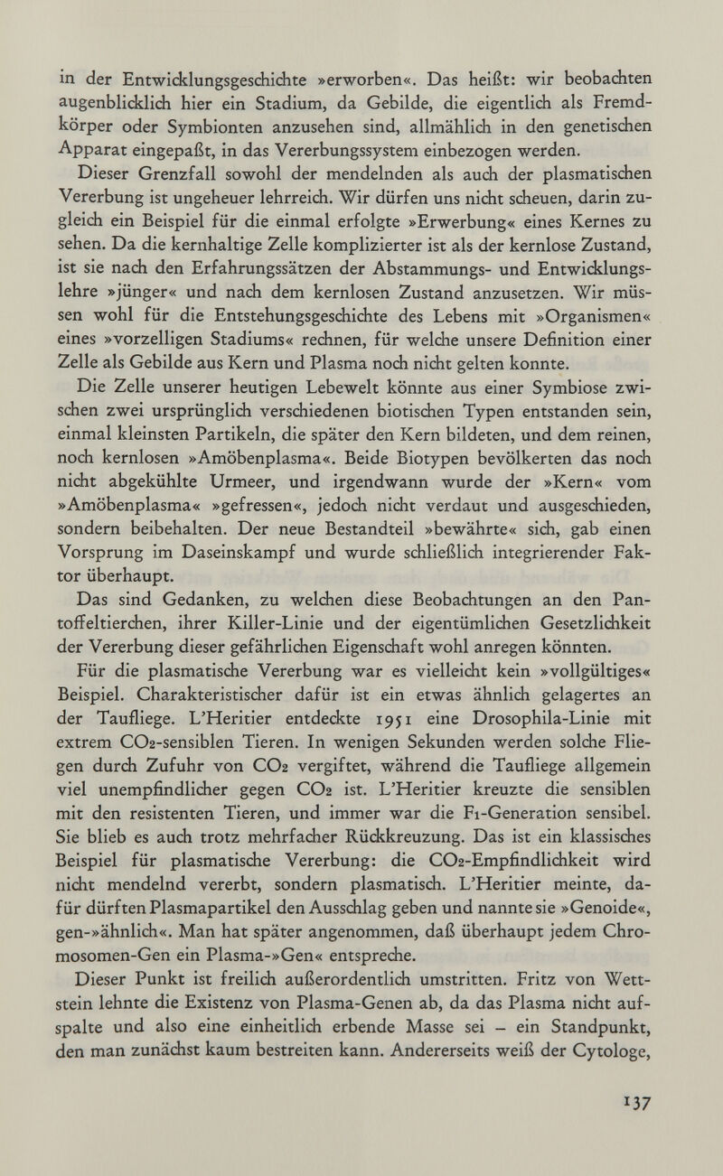 in der Entwicklungsgeschichte »erworben«. Das heißt: wir beobachten augenblicklich hier ein Stadium, da Gebilde, die eigentlich als Fremd¬ körper oder Symbionten anzusehen sind, allmählich in den genetischen Apparat eingepaßt, in das Vererbungssystem einbezogen werden. Dieser Grenzfall sowohl der mendelnden als auch der plasmatischen Vererbung ist ungeheuer lehrreich. Wir dürfen uns nicht scheuen, darin zu¬ gleich ein Beispiel für die einmal erfolgte »Erwerbung« eines Kernes zu sehen. Da die kernhaltige Zelle komplizierter ist als der kernlose Zustand, ist sie nach den Erfahrungssätzen der Abstammungs- und Entwicklungs¬ lehre »jünger« und nach dem kernlosen Zustand anzusetzen. Wir müs¬ sen wohl für die Entstehungsgeschichte des Lebens mit »Organismen« eines »vorzelligen Stadiums« rechnen, für welche unsere Definition einer Zelle als Gebilde aus Kern und Plasma noch nicht gelten konnte. Die Zelle unserer heutigen Lebewelt könnte aus einer Symbiose zwi- sdien zwei ursprünglich verschiedenen biotischen Typen entstanden sein, einmal kleinsten Partikeln, die später den Kern bildeten, und dem reinen, noch kernlosen »Amöbenplasma«. Beide Biotypen bevölkerten das nodi nicht abgekühlte Urmeer, und irgendwann wurde der »Kern« vom »Amöbenplasma« »gefressen«, jedoch nicht verdaut und ausgeschieden, sondern beibehalten. Der neue Bestandteil »bewährte« sich, gab einen Vorsprung im Daseinskampf und wurde schließlich integrierender Fak¬ tor überhaupt. Das sind Gedanken, zu welchen diese Beobachtungen an den Pan¬ toffeltierchen, ihrer Killer-Linie und der eigentümlichen Gesetzlichkeit der Vererbung dieser gefährlichen Eigenschaft wohl anregen könnten. Für die plasmatische Vererbung war es vielleicht kein »vollgültiges« Beispiel. Charakteristischer dafür ist ein etwas ähnlich gelagertes an der Taufliege. L'Heritier entdeckte 1951 eine Drosophila-Linie mit extrem COa-sensiblen Tieren. In wenigen Sekunden werden solche Flie¬ gen durdi Zufuhr von CO2 vergiftet, während die Taufliege allgemein viel unempfindlicher gegen CO2 ist. L'Heritier kreuzte die sensiblen mit den resistenten Tieren, und immer war die Fi-Generation sensibel. Sie blieb es auch trotz mehrfacher Rückkreuzung. Das ist ein klassisches Beispiel für plasmatische Vererbung: die C02-Empfindlidikeit wird nicht mendelnd vererbt, sondern plasmatisch. L'Heritier meinte, da¬ für dürften Plasmapartikel den Ausschlag geben und nannte sie »Genoide«, gen-»ähnlich«. Man hat später angenommen, daß überhaupt jedem Chro¬ mosomen-Gen ein Plasma-»Gen« entspreche. Dieser Punkt ist freilich außerordentlich umstritten. Fritz von Wett¬ stein lehnte die Existenz von Plasma-Genen ab, da das Plasma nicht auf¬ spalte und also eine einheitlich erbende Masse sei - ein Standpunkt, den man zunächst kaum bestreiten kann. Andererseits weiß der Cytologe, 137