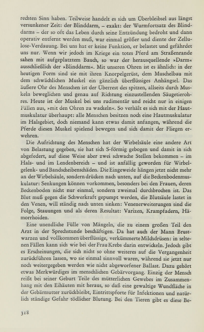 rediten Sinn haben. Teilweise handelt es sich um Überbleibsel aus längst versunkener Zeit: der Blinddarm, - exakt: der Wurmfortsatz des Blind¬ darms - der so oft das Leben durch seine Entzündung bedroht und dann operativ entfernt werden muß, war einmal größer und diente der Zellu¬ lose-Verdauung. Bei uns hat er keine Funktion, er belastet und gefährdet uns nur. Wenn wir jedoch im Kriege ein totes Pferd am Straßenrande sahen mit aufgeplatztem Bauch, so war der herausquellende »Darm« ausschließlich der »Blinddarm«. Mit unseren Ohren ist es ähnlich: in der heutigen Form sind sie mit ihren Knorpelgerüst, dem Muschelbau mit dem schwächlichen Muskel ein gänzlidi überflüssiges Anhängsel. Das äußere Ohr des Menschen ist der Überrest des spitzen, allseits durch Mus¬ keln beweglichen und genau auf Richtung einzustellenden Säugetieroh¬ res. Heute ist der Muskel bei uns rudimentär und reicht nur in einigen Fällen aus, »mit den Ohren zu wackeln«. So verhält es sich mit der Haut¬ muskulatur überhaupt: alle Menschen besitzen noch eine Hautmuskulatur im Halsgebiet, doch niemand kann etwas damit anfangen, während die Pferde diesen Muskel spielend bewegen und sich damit der Fliegen er¬ wehren. Die Aufrichtung des Menschen hat der Wirbelsäule eine andere Art von Belastung gegeben, sie hat sich S-förmig gebogen und damit in sich abgefedert, auf diese Weise aber zwei schwache Stellen bekommen - im Hals- und im Lendenbereich - und ist anfällig geworden für Wirbel¬ gelenk- und Bandscheibenschäden. Die Eingeweide hängen jetzt nicht mehr an der Wirbelsäule, sondern drücken nach unten, auf die Beckenbodenmus¬ kulatur: Senkungen können vorkommen, besonders bei den Frauen, deren Beckenboden nidit nur einmal, sondern zweimal durchbrodien ist. Das Blut muß gegen die Sdiwerkraft gepumpt werden, die Blutsäule lastet in den Venen, will ständig nach unten sinken: Venenerweiterungen sind die Folge, Stauungen und als deren Resultat: Varizen, Krampfadern, Hä¬ morrhoiden
