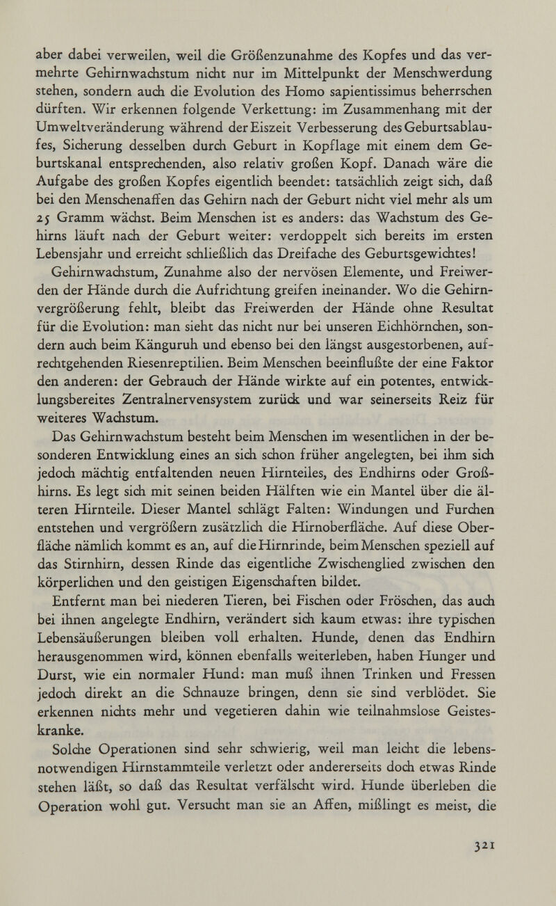aber dabei verweilen, weil die Größenzunahme des Kopfes und das ver¬ mehrte Gehirnwadistum nicht nur im Mittelpunkt der Menschwerdung stehen, sondern auch die Evolution des Homo sapientissimus beherrsdien dürften. Wir erkennen folgende Verkettung: im Zusammenhang mit der Umweltveränderung während der Eiszeit Verbesserung des Geburtsablau¬ fes, Sicherung desselben durch Geburt in Kopflage mit einem dem Ge¬ burtskanal entspredaenden, also relativ großen Kopf. Danach wäre die Aufgabe des großen Kopfes eigentlich beendet: tatsächlich zeigt sich, daß bei den Menschenaffen das Gehirn nach der Geburt nicht viel mehr als um 25 Gramm wächst. Beim Menschen ist es anders: das Wachstum des Ge¬ hirns läuft nach der Geburt weiter: verdoppelt sich bereits im ersten Lebensjahr und erreicht schließlich das Dreifache des Geburtsgewidates ! Gehirnwachstum, Zunahme also der nervösen Elemente, und Freiwer¬ den der Hände durdi die Aufrichtung greifen ineinander. Wo die Gehirn¬ vergrößerung fehlt, bleibt das Freiwerden der Hände ohne Resultat für die Evolution: man sieht das nicht nur bei unseren Eichhörnchen, son¬ dern auch beim Känguruh und ebenso bei den längst ausgestorbenen, auf¬ rechtgehenden Riesenreptilien. Beim Menschen beeinflußte der eine Faktor den anderen: der Gebrauch der Hände wirkte auf ein potentes, entwick¬ lungsbereites Zentralnervensystem zurück und war seinerseits Reiz für weiteres Wachstum. Das Gehirnwachstum besteht beim Menschen im wesentlichen in der be¬ sonderen Entwicklung eines an sich schon früher angelegten, bei ihm sich jedoch mächtig entfaltenden neuen Hirnteiles, des Endhirns oder Groß¬ hirns. Es legt sich mit seinen beiden Hälften wie ein Mantel über die äl¬ teren Hirnteile. Dieser Mantel sdilägt Falten: Windungen und Furchen entstehen und vergrößern zusätzlich die Hirnoberfläche. Auf diese Ober¬ fläche nämlich kommt es an, auf die Hirnrinde, beim Menschen speziell auf das Stirnhirn, dessen Rinde das eigentliche Zwischenglied zwischen den körperlichen und den geistigen Eigenschaften bildet. Entfernt man bei niederen Tieren, bei Fischen oder Fröschen, das auch bei ihnen angelegte Endhirn, verändert sich kaum etwas: ihre typischen Lebensäußerungen bleiben voll erhalten. Hunde, denen das Endhirn herausgenommen wird, können ebenfalls weiterleben, haben Hunger und Durst, wie ein normaler Hund: man muß ihnen Trinken und Fressen jedoch direkt an die Schnauze bringen, denn sie sind verblödet. Sie erkennen nichts mehr und vegetieren dahin wie teilnahmslose Geistes¬ kranke. Solche Operationen sind sehr schwierig, weil man leicht die lebens¬ notwendigen Hirnstammteile verletzt oder andererseits doch etwas Rinde stehen läßt, so daß das Resultat verfälscht wird. Hunde überleben die Operation wohl gut. Versucht man sie an Affen, mißlingt es meist, die 321