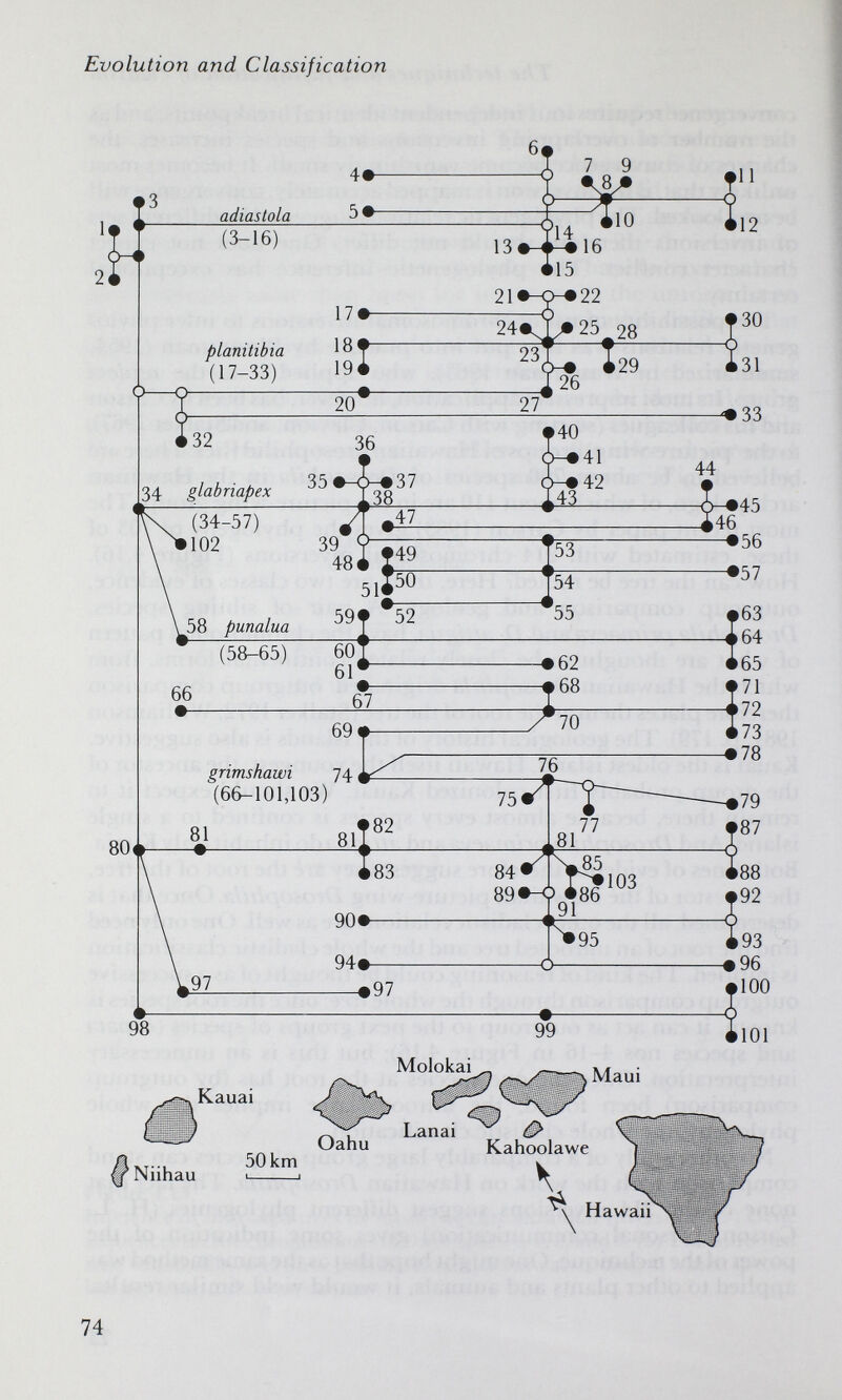 Evolution and Classification 74