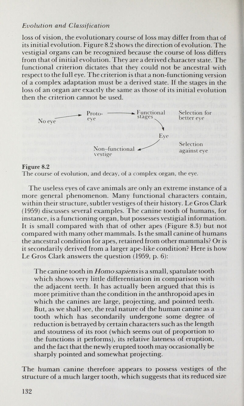 Evolution and Classification loss of vision, the evolutionary course of loss may differ from that of its initial evolution. Figure 8.2 shows the direction of evolution. The vestigial organs can be recognized because the course of loss differs from that of initial evolution. They are a derived character state. The functional criterion dictates that they could not be ancestral w^ith respect to the full eye. The criterion is that a non-functioning version of a complex adaptation must be a derived state. If the stages in the loss of an organ are exactly the same as those of its initial evolution then the criterion cannot be used. No eye Proto- eve -k. P unctional stages Selection for better eve Non-functional vestige Eve Selection against eye Figure 8.2 The course of evolution, and decay, of a complex organ, the eye. The useless eyes of cave animals are only an extreme instance of a more general phenomenon. Many functional characters contain, within their structure, subtler vestiges of their history. Le Gros Clark (1959) discusses several examples. The canine tooth of humans, for instance, is a functioning organ, but possesses vestigial information. It is small compared with that of other apes (Figure 8.3) but not compared with many other mammals. Is the small canine of humans the ancestral condition for apes, retained from other mammals? Or is it secondarily derived from a larger ape-like condition? Here is how Le Gros Clark answers the question (1959, p. 6); The canine tooth in Homosapiensis a small, spatulate tooth which shows very little differentiation in comparison with the adjacent teeth. It has actually been argued that this is more primitive than the condition in the anthropoid apes in which the canines are large, projecting, and pointed teeth. But, as we shall see, the real nature of the human canine as a tooth which has secondarily undergone some degree of reduction is betrayed by certain characters such as the length and stoutness of its root (which seems out of proportion to the functions it performs), its relative lateness of eruption, and the fact that the newly erupted tooth may occasionally be sharply pointed and somewhat projecting. The human canine therefore appears to possess vestiges of the structure of a much larger tooth, which suggests that its reduced size 132