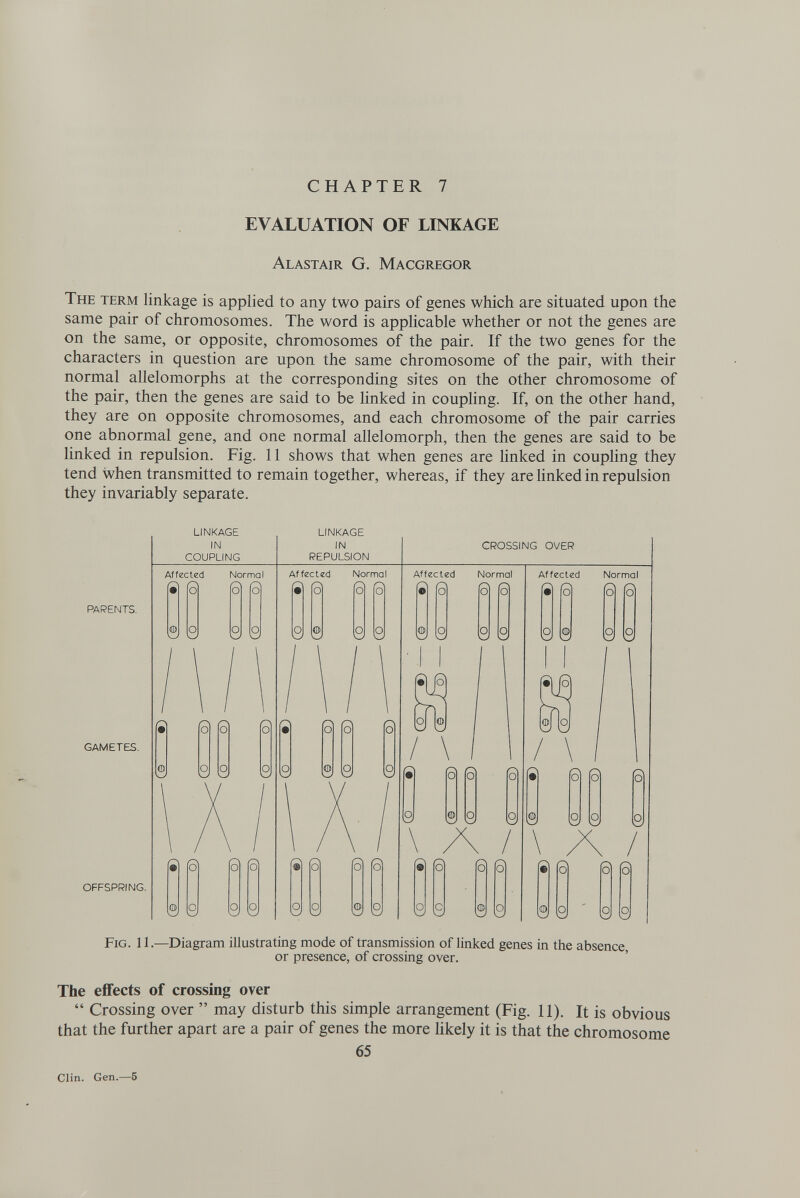 CHAPTER 7 EVALUATION OF LINKAGE Alastair G. Macgregor The term linkage is applied to any two pairs of genes which are situated upon the same pair of chromosomes. The word is applicable whether or not the genes are on the same, or opposite, chromosomes of the pair. If the two genes for the characters in question are upon the same chromosome of the pair, with their normal allelomorphs at the corresponding sites on the other chromosome of the pair, then the genes are said to be linked in coupHng. If, on the other hand, they are on opposite chromosomes, and each chromosome of the pair carries one abnormal gene, and one normal allelomorph, then the genes are said to be linked in repulsion. Fig. 11 shows that when genes are hnked in coupling they tend when transmitted to remain together, whereas, if they are linked in repulsion they invariably separate. PARENTS. GAMETES. LINKAGE IN COUPLING Affected Normal 5) (51 (o LINKAGE IN REPULSION Affzclid Normal • О CROSSING OVER Affected Normal • ÍO Affected Normal О GO OFFSPRING. Fig. 11.—Diagram illustrating mode of transmission of linked genes in the absence, or presence, of crossing over. The effects of crossing over  Crossing over  may disturb this simple arrangement (Fig. 11). It is obvious that the further apart are a pair of genes the more hkely it is that the chromosome 65 Clin. Gen.—5