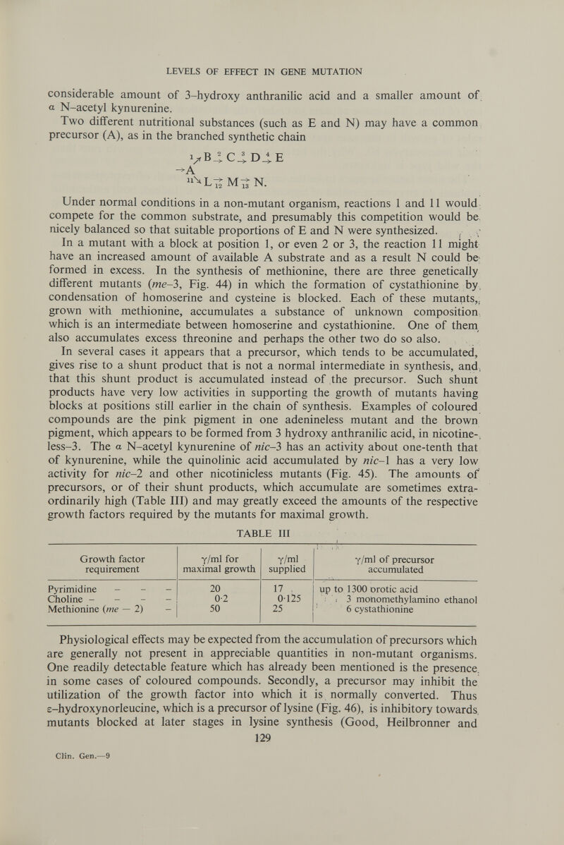 LEVELS OF EFFECT IN GENE MUTATION considerable amount of 3-hydroxy anthranilic acid and a smaller amount of a N-acetyl kynurenine. Two different nutritional substances (such as E and N) may have a common precursor (A), as in the branched synthetic chain VB4C4.D^E -^A Under normal conditions in a non-mutant organism, reactions 1 and 11 would; compete for the common substrate, and presumably this competition would be. nicely balanced so that suitable proportions of E and N were synthesized. ^ In a mutant with a block at position 1, or even 2 or 3, the reaction 11 might have an increased amount of available A substrate and as a result N could be; formed in excess. In the synthesis of methionine, there are three genetically different mutants (me-3, Fig. 44) in which the formation of cystathionine by, condensation of homoserine and cysteine is blocked. Each of these mutapts,¡ grown with methionine, accumulates a substance of unknown composition which is an intermediate between homoserine and cystathionine. One of them^ also accumulates excess threonine and perhaps the other two do so also. In several cases it appears that a precursor, which tends to be accumulated, gives rise to a shunt product that is not a normal intermediate in synthesis, and, that this shunt product is accumulated instead of the precursor. Such shunt products have very low activities in supporting the growth of mutants having blocks at positions still earlier in the chain of synthesis. Examples of coloured compounds are the pink pigment in one adenineless mutant and the brown pigment, which appears to be formed from 3 hydroxy anthranilic acid, in nicotine-. less-3. The a N-acetyl kynurenine of nic-3 has an activity about one-tenth that of kynurenine, while the quinolinic acid accumulated by nic-l has a very low activity for nic-l and other nicotinicless mutants (Fig. 45). The amounts of precursors, or of their shunt products, which accumulate are sometimes extra¬ ordinarily high (Table III) and may greatly exceed the amounts of the respective growth factors required by the mutants for maximal growth. TABLE III Physiological effects may be expected from the accumulation of precursors which are generally not present in appreciable quantities in non-mutant organisms. One readily detectable feature which has already been mentioned is the presence, in some cases of coloured compounds. Secondly, a precursor may inhibit the utilization of the growth factor into which it is normally converted. Thus £-hydroxynorleucine, which is a precursor of lysine (Fig. 46), is inhibitory towards mutants blocked at later stages in lysine synthesis (Good, Heilbronner and 129 Clin. Gen.—9