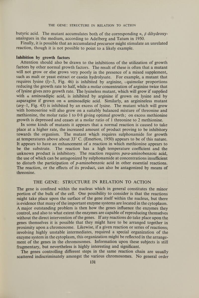 the gene: structure in relation to action butyric acid. The mutant accumulates both of the corresponding a, ß dihydroxy- analogues in the medium, according to Adelberg and Tatum in 1950. Finally, it is possible that an accumulated precursor might stimulate an unrelated reaction, though it is not possible to point to a Hkely example. Inhibition by growth factors Attention should also be drawn to the inhibitions of the utihzation of growth factors by other normal growth factors. The result of these is often that a mutant will not grow or else grows very poorly in the presence of a mixed supplement, such as malt or yeast extract or casein hydrolysate. For example, a mutant that requires lysine (/>^-3, Fig. 46) is inhibited by arginine, tquimolar proportions reducing the growth rate to half, while a molar concentration of arginine twice that of lysine gives zero growth rate. The lysineless mutant, which will grow if supplied with a aminoadipic acid, is inhibited by arginine if grown on lysine and by asparagine if grown on a aminoadipic acid. Similarly, an arginineless mutant {arg-\. Fig. 43) is inhibited by an excess of lysine. The mutant which will grow with homoserine will also grow on a suitably balanced mixture of threonine and methionine, the molar ratio 1 to 0-8 giving optimal growth; on excess methionine growth is depressed and ceases at a molar ratio of 1 threonine to 2 methionine. In some kinds of mutants it appears that a normal reaction is caused to take place at a higher rate, the increased amount of product proving to be inhibitory towards the organism. The mutant which requires sulphonamide for growth at temperatures above about 33° C. (Emerson, 1950) appears to be of this nature. It appears to have an enhancement of a reaction in which methionine appears to be the substrate. The reaction has a high temperature coefficient and the unknown product is inhibitory. The reaction requires pam-aminobenzoic acid, the use of which can be antagonized by sulphonamide at concentrations insufficient to disturb the participation of /7-aniinobenzoic acid in other essential reactions. The reaction, or the effects of its product, can also be antagonized by means of threonine. THE GENE: STRUCTURE IN RELATION TO ACTION The gene is confined within the nucleus which in general constitutes the minor portion of the bulk of the cell. One possibility to consider is that the reactions might take place upon the surface of the gene itself within the nucleus, but there is evidence that many of the important enzyme systems are located in the cytoplasm. A major outstanding problem is then how the genes influence the enzymes they control, and also to what extent the enzymes are capable of reproducing themselves without the direct intervention of the genes. If any reactions do take place upon the genes themselves it is possible that they might have to be arranged together in proximity upon a chromosome. Likewise, if a given reaction or series of reactions; involving highly unstable intermediates, required a special organization of the enzyme system in the cytoplasm, this organization might be reflected in the arrange¬ ment of the genes in the chromosomes. Information upon these subjects is still fragmentary, but nevertheless is highly interesting and significant. The genes controlHng different steps in the same reaction chain are usually scattered indiscriminately amongst the various chromosomes. No general order 131