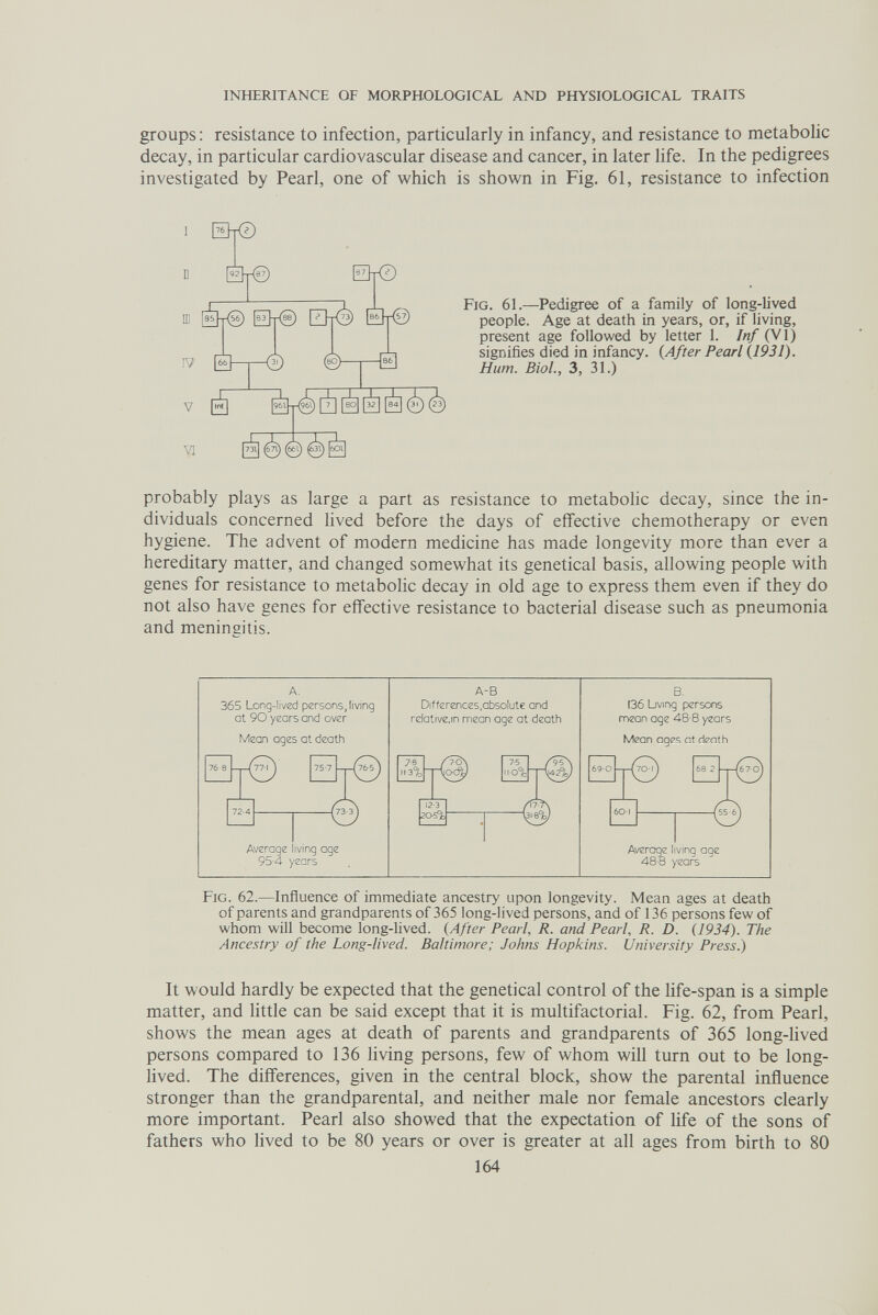 INHERITANCE OF MORPHOLOGICAL AND PHYSIOLOGICAL TRAITS groups ; resistance to infection, particularly in infancy, and resistance to metabolic decay, in particular cardiovascular disease and cancer, in later life. In the pedigrees investigated by Pearl, one of which is shown in Fig. 61, resistance to infection Fig. 61.—Pedigree of a family of long-lived people. Age at death in years, or, if living, present age followed by letter 1. Inf (VI) signifies died in infancy. {After Pearl (l931). Hum. Biol., 3, 31.) probably plays as large a part as resistance to metabolic decay, since the in¬ dividuals concerned lived before the days of eifective chemotherapy or even hygiene. The advent of modern medicine has made longevity more than ever a hereditary matter, and changed somewhat its genetical basis, allowing people with genes for resistance to metabolic decay in old age to express them even if they do not also have genes for effective resistance to bacterial disease such as pneumonia and meningitis. 365 Long-lived persons, living at 90 years and over Mean ages at death 76 8 Average living age 95-4 years A-B Differences,absolute and relative.in mean age at death 113% 12 3 136 Living persons mean age 48-8 years Mean ages at death Avenoge living age 48-8 years Fig. 62.—Influence of immediate ancestry upon longevity. Mean ages at death of parents and grandparents of 365 long-lived persons, and of 136 persons few of whom will become long-lived. (After Pearl, R. and Pearl, R. D. (1934). The Ancestry of the Long-lived. Baltimore; Johns Hopkins. University Press.) It would hardly be expected that the genetical control of the life-span is a simple matter, and httle can be said except that it is multifactorial. Fig. 62, from Pearl, shows the mean ages at death of parents and grandparents of 365 long-lived persons compared to 136 living persons, few of whom will turn out to be long- lived. The differences, given in the central block, show the parental influence stronger than the grandparental, and neither male nor female ancestors clearly more important. Pearl also showed that the expectation of life of the sons of fathers who lived to be 80 years or over is greater at all ages from birth to 80 164