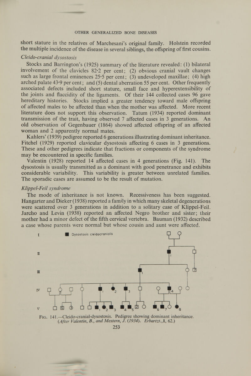 OTHER GENERALIZED BONE DISEASES short stature in the relatives of Marchesani's original family. Holstein recorded the multiple incidence of the disease in several siblings, the offspring of first cousins. Cleido-cranial dysostosis Stocks and Barrington's (1925) summary of the Hterature revealed: (1) bilateral involvement of the clavicles 82*2 per cent; (2) obvious cranial vault changes such as large frontal eminences 25'5 per cent; (3) undeveloped maxihae; (4) high arched palate 43*9 per cent ; and (5) dental aberration 55 per cent. Other frequently associated defects included short stature, small face and hyperextensibiUty of the joints and flaccidity of the ligaments. Of their 144 collected cases 96 gave hereditary histories. Stocks imphed a greater tendency toward male offspring of affected males to be affected than when the mother was affected. More recent literature does not support this observation. Tatum (1934) reported dominant transmission of the trait, having observed 7 affected cases in 3 generations. An old observation of Gegenbauer (1864) showed affected offspring of an affected woman and 2 apparently normal mates. Kahlers' (1939) pedigree reported 6 generations illustrating dominant inheritance. Fitchel (1929) reported clavicular dysostosis affecting 6 cases in 3 generations. These and other pedigrees indicate that fractions or components of the syndrome may be encountered in specific famiUes. Valentin (1928) reported 14 affected cases in 4 generations (Fig. 141). The dysostosis is usually transmitted as a dominant with good penetrance and exhibits considerable variability. This variability is greater between unrelated families. The sporadic cases are assumed to be the result of mutation. Klippel-Feil syndrome The mode of inheritance is not known. Recessiveness has been suggested. Hangarter and Dieker (1938) reported a family in which many skeletal degenerations were scattered over 3 generations in addition to a sohtary case of Юippel-Feil. Jarcho and Levin (1938) reported an affected Negro brother and sister; their mother had a minor defect of the fifth cervical vertebra. Bauman (1932) described a case whose parents were normal but whose cousin and aunt were affected. Ш П  t t' t't A Л A i5~Îï^3 *8 Fig. 141.—Cleido-cranial-dysostosis. Pedigree showing dominant inheritance. {After Valentin, В., and Mestern, J. (1934). Erbartzt.,1, 62.) 253