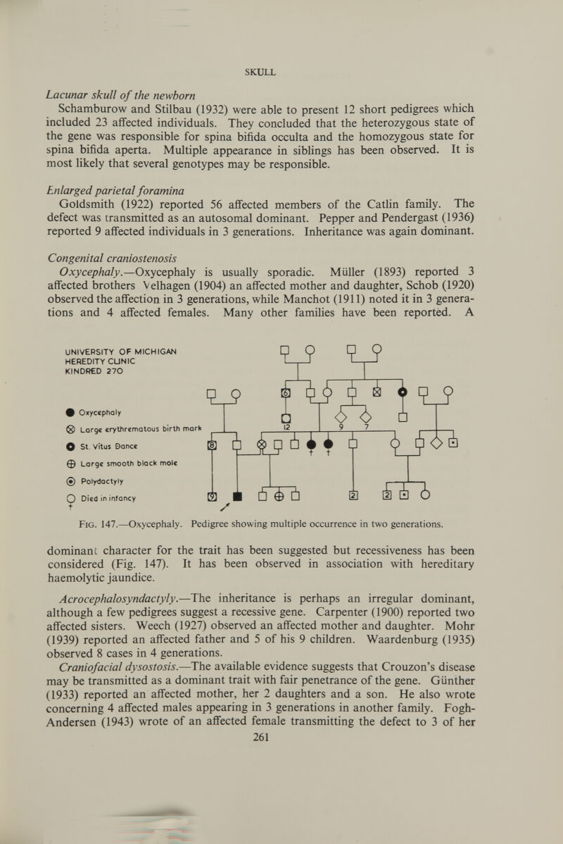 SKULL Lacunar skull of the newborn Schamburow and Stilbau (1932) were able to present 12 short pedigrees which included 23 affected individuals. They concluded that the heterozygous state of the gene was responsible for spina bifida occulta and the homozygous state for spina bifida aperta. Multiple appearance in siblings has been observed. It is most likely that several genotypes may be responsible. Enlarged parietal foramina Goldsmith (1922) reported 56 affected members of the Catlin family. The defect was transmitted as an autosomal dominant. Pepper and Pendergast (1936) reported 9 affected individuals in 3 generations. Inheritance was again dominant. Congenital craniostenosis Oxycephaly.—Oxycephaly is usually sporadic. Müller (1893) reported 3 affected brothers Velhagen (1904) an affected mother and daughter, Schob (1920) observed the affection in 3 generations, while Manchot (1911) noted it in 3 genera¬ tions and 4 affected females. Many other famiUes have been reported. A university of michigan heredity cunic kindred 270 q. Ф Oxycephaly ® Large erythrematous birth mork О St. Vitus Dance Ф Large smooth black mole 0 Polydactyly 9 i 9 у D I <5^ □ Т 12 9 7  g á 4 i à о Died in infancy + Ú1 у ù é ù m i à ¿ Fig. 147.—Oxycephaly. Pedigree showing muhiple occurrence in two generations. dominant character for the trait has been suggested but recessiveness has been considered (Fig. 147). It has been observed in association with hereditary haemolytic jaundice. Acrocephalosyndactyly.—The inheritance is perhaps an irregular dominant, although a few pedigrees suggest a recessive gene. Carpenter (1900) reported two affected sisters. Weech (1927) observed an affected mother and daughter. Möhr (1939) reported an affected father and 5 of his 9 children. Waardenburg (1935) observed 8 cases in 4 generations. Craniofacial dysostosis.—The available evidence suggests that Crouzon's disease may be transmitted as a dominant trait with fair penetrance of the gene. Günther (1933) reported an affected mother, her 2 daughters and a son. He also wrote concerning 4 affected males appearing in 3 generations in another family. Fogh- Andersen (1943) wrote of an affected female transmitting the defect to 3 of her 261