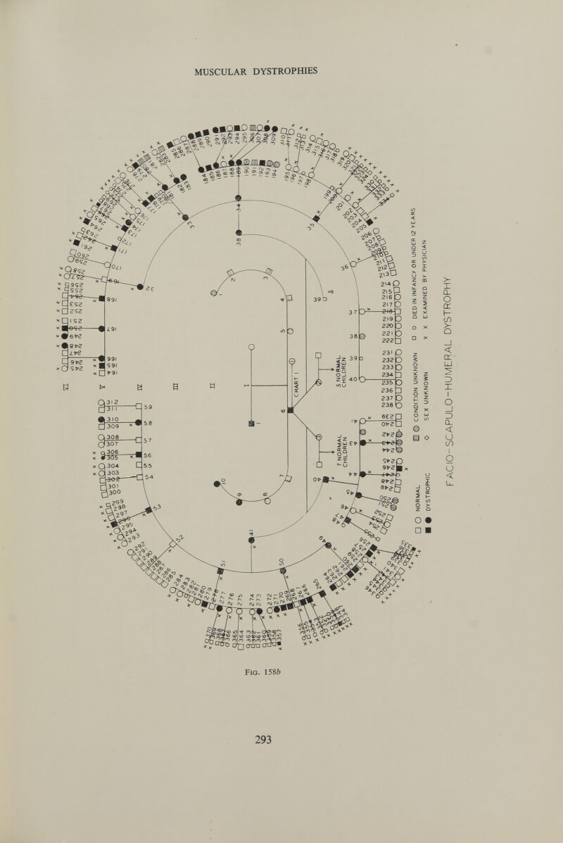 MUSCULAR DYSTROPHIES Fig. 158Í> 293