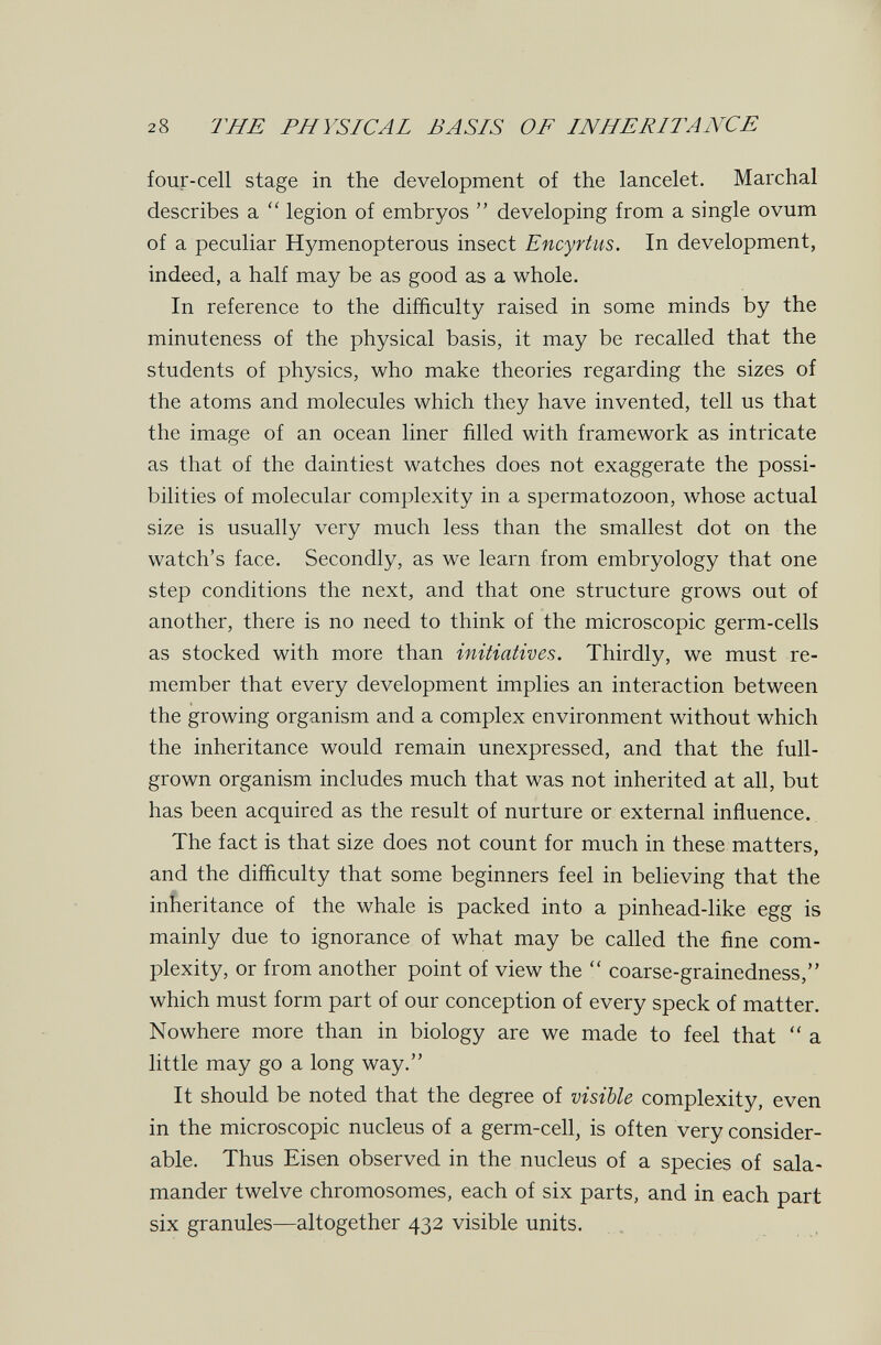 2 8 THE PHYSICAL BASIS OF INHERITANCE four-cell stage in the development of the lancelet. Marchai describes a  legion of embryos  developing from a single ovum of a peculiar Hymenopterous insect Encyrhts. In development, indeed, a half may be as good as a whole. In reference to the difficulty raised in some minds by the minuteness of the physical basis, it may be recalled that the students of physics, who make theories regarding the sizes of the atoms and molecules which they have invented, tell us that the image of an ocean liner filled with framework as intricate as that of the daintiest watches does not exaggerate the possi¬ bilities of molecular complexity in a spermatozoon, whose actual size is usually very much less than the smallest dot on the watch's face. Secondly, as we learn from embryology that one step conditions the next, and that one structure grows out of another, there is no need to think of the microscopic germ-cells as stocked with more than initiatives. Thirdly, we must re¬ member that every development implies an interaction between the growing organism and a complex environment without which the inheritance would remain unexpressed, and that the full- grown organism includes much that was not inherited at all, but has been acquired as the result of nurture or external influence. The fact is that size does not count for much in these matters, and the difficulty that some beginners feel in believing that the infieritance of the whale is packed into a pinhead-like egg is mainly due to ignorance of what may be called the fine com¬ plexity, or from another point of view the  coarse-grainedness, which must form part of our conception of every speck of matter. Nowhere more than in biology are we made to feel that  a little may go a long way. It should be noted that the degree of visible complexity, even in the microscopic nucleus of a germ-cell, is often very consider¬ able. Thus Eisen observed in the nucleus of a species of sala¬ mander twelve chromosomes, each of six parts, and in each part six granules—altogether 432 visible units.