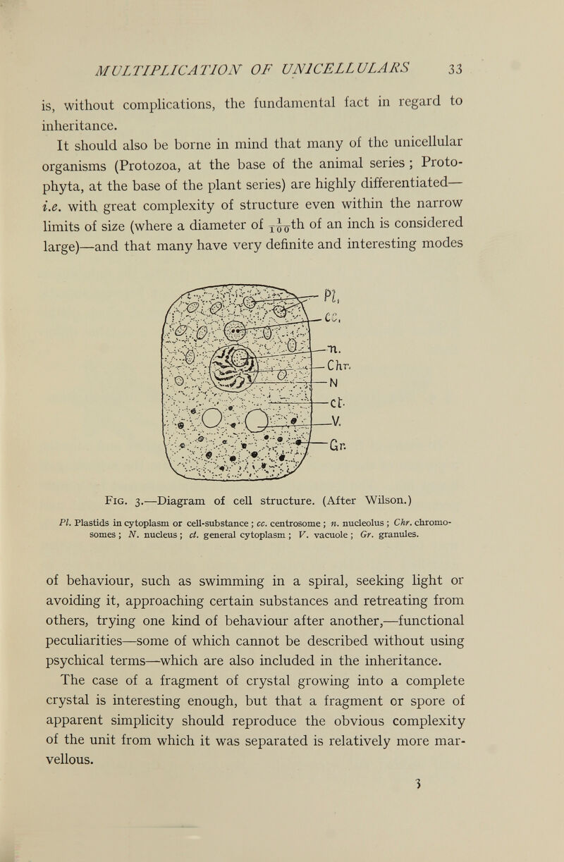 MULTIPLICATION OF UNICELLULARS 3З is, without complications, the fundamental fact in regard to inheritance. It should also be borne in mind that many of the unicellular organisms (Protozoa, at the base of the animal series ; Proto- phyta, at the base of the plant series) are highly differentiated— i.e. with great complexity of structure even within the narrow limits of size (where a diameter of x^^th of an inch is considered large)—and that many have very definite and interesting modes Fig. 3.—Diagram of cell structure. (After Wilson.) PI. Plastids ia cytoplasm or cell-substance ; cc. centrosome ; n. nucleolus ; Chf. chromo¬ somes ; N. nucleus ; ct. general cytoplasm ; V. vacuole ; Gr. graniües. of behaviour, such as swimming in a spiral, seeking light or avoiding it, approaching certain substances and retreating from others, trying one kind of behaviour after another,—functional peculiarities—some of which cannot be described without using psychical terms—which are also included in the inheritance. The case of a fragment of crystal growing into a complete crystal is interesting enough, but that a fragment or spore of apparent simplicity should reproduce the obvious complexity of the unit from which it was separated is relatively more mar¬ vellous. PI Tl. Chr- N -Ct. _V. -Gr. 3