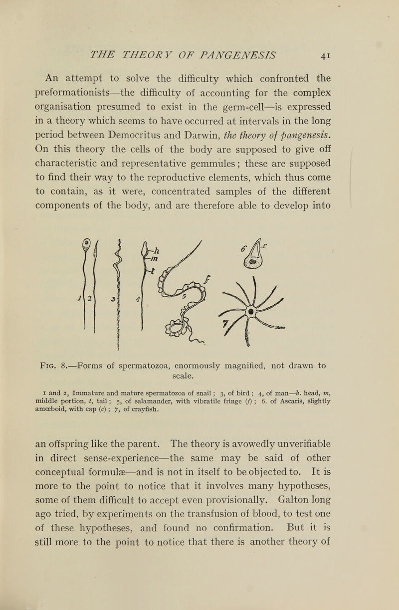 THE THEORY OF PANGENESIS 41 An attempt to solve the difficulty which confronted the preformationists—the difficulty of accounting for the complex organisation presumed to exist in the germ-cell—is expressed in a theory which seems to have occurred at intervals in the long period between Democritus and Darwin, the theory of pangenesis. On this theory the cells of the body are supposed to give off characteristic and representative gemmules ; these are supposed to find their way to the reproductive elements, which thus come to contain, as it were, concentrated samples of the different components of the body, and are therefore able to develop into Fig. 8.—Forms of spermatozoa, enormously magnified, not drawn to I and 2, Immature and mature spermatozoa of snail ; 3, of bird ; 4, of man—h. head, m, middle portion, t, tail ; 5, of salamander, with vibratile fringe (/) ; 6. of Ascaris, slightly amœboid, with cap (c) ; 7, of crayfish. an offspring like the parent. The theory is avowedly unverifiable in direct sense-experience—the same may be said of other conceptual formulae—and is not in itself to be objected to. It is more to the point to notice that it involves many hypotheses, some of them difficult to accept even provisionally. Galton long ago tried, by experiments on the transfusion of blood, to test one of these hypotheses, and found no confirmation. But it is still more to the point to notice that there is another theory of J scale.