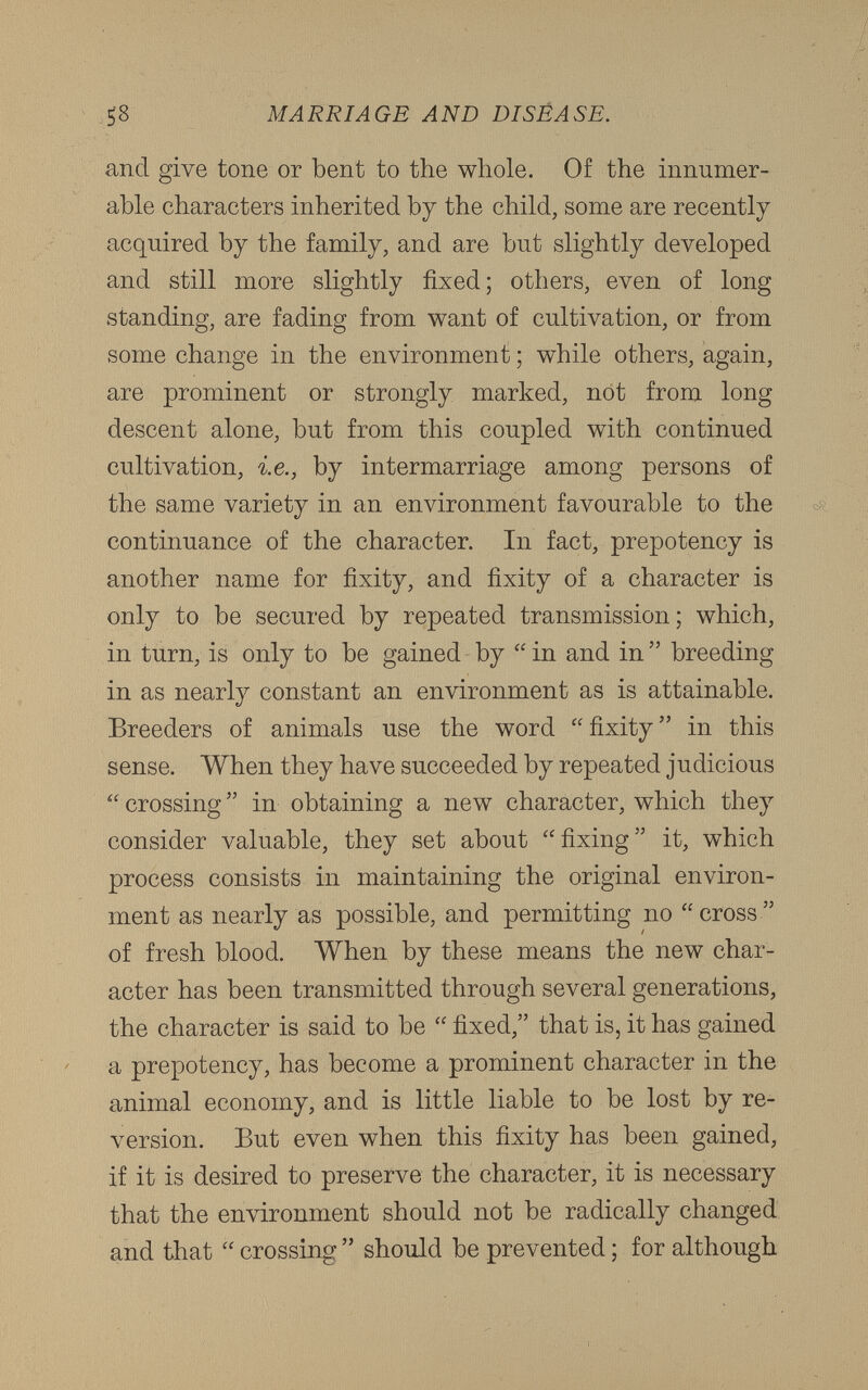 and give tone or bent to the whole. Of the innumer able characters inherited by the child, some are recently acquired by the family, and are but slightly developed and still more slightly fixed; others, even of long standing, are fading from want of cultivation, or from some change in the environment; while others, again, are prominent or strongly marked, not from long descent alone, but from this coupled with continued cultivation, i.e., by intermarriage among persons of the same variety in an environment favourable to the continuance of the character. In fact, prepotency is another name for fixity, and fixity of a character is only to be secured by repeated transmission; which, in turn, is only to be gained by “ in and in ” breeding in as nearly constant an environment as is attainable. Breeders of animals use the word “fixity” in this sense. When they have succeeded by repeated judicious “ crossing ” in obtaining a new character, which they consider valuable, they set about “fixing” it, which process consists in maintaining the original environ ment as nearly as possible, and permitting no “ cross ” of fresh blood. When by these means the new char acter has been transmitted through several generations, the character is said to be “ fixed,” that is, it has gained a prepotency, has become a prominent character in the animal economy, and is little liable to be lost by re version. But even when this fixity has been gained, if it is desired to preserve the character, it is necessary that the environment should not be radically changed and that “ crossing ” should be prevented; for although