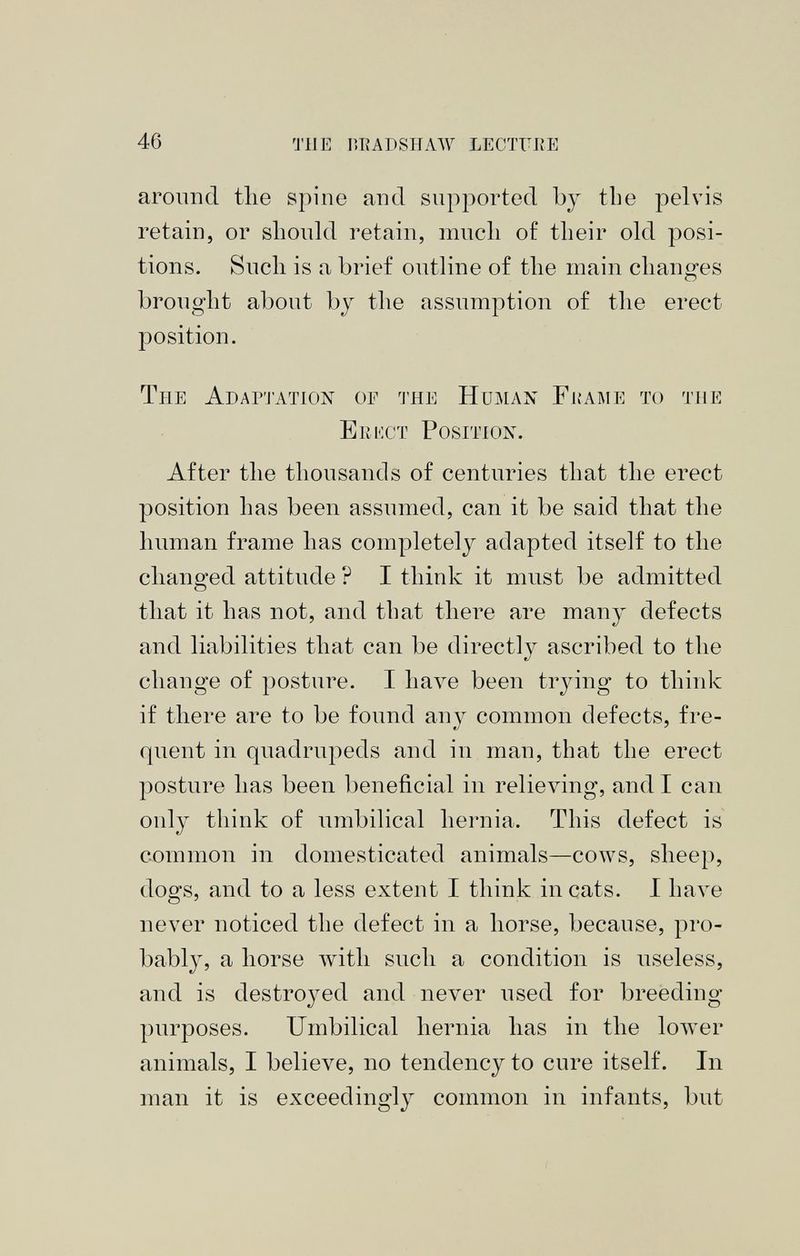 around tlie spine and supported by the pelvis retain, or should retain, much of their old posi tions. Such is a brief outline of the main changes brought about by the assumption of the erect position. The Adaptation of the Human Frame to the Erect Position. After the thousands of centuries that the erect position has been assumed, can it be said that the human frame has completely adapted itself to the changed attitude ? I think it must be admitted that it has not, and that there are many defects and liabilities that can be directly ascribed to the change of posture. I liaA r e been trying to think if there are to be found any common defects, fre- quent in quadrupeds and in man, that the erect posture has been beneficial in relieving, and I can only think of umbilical hernia. This defect is common in domesticated animals—cows, sheep, dogs, and to a less extent I think in cats. I have never noticed the defect in a horse, because, pro bably, a horse with such a condition is useless, and is destroyed and never used for breeding purposes. Umbilical hernia has in the lower animals, I believe, no tendency to cure itself. In man it is exceedingly common in infants, but